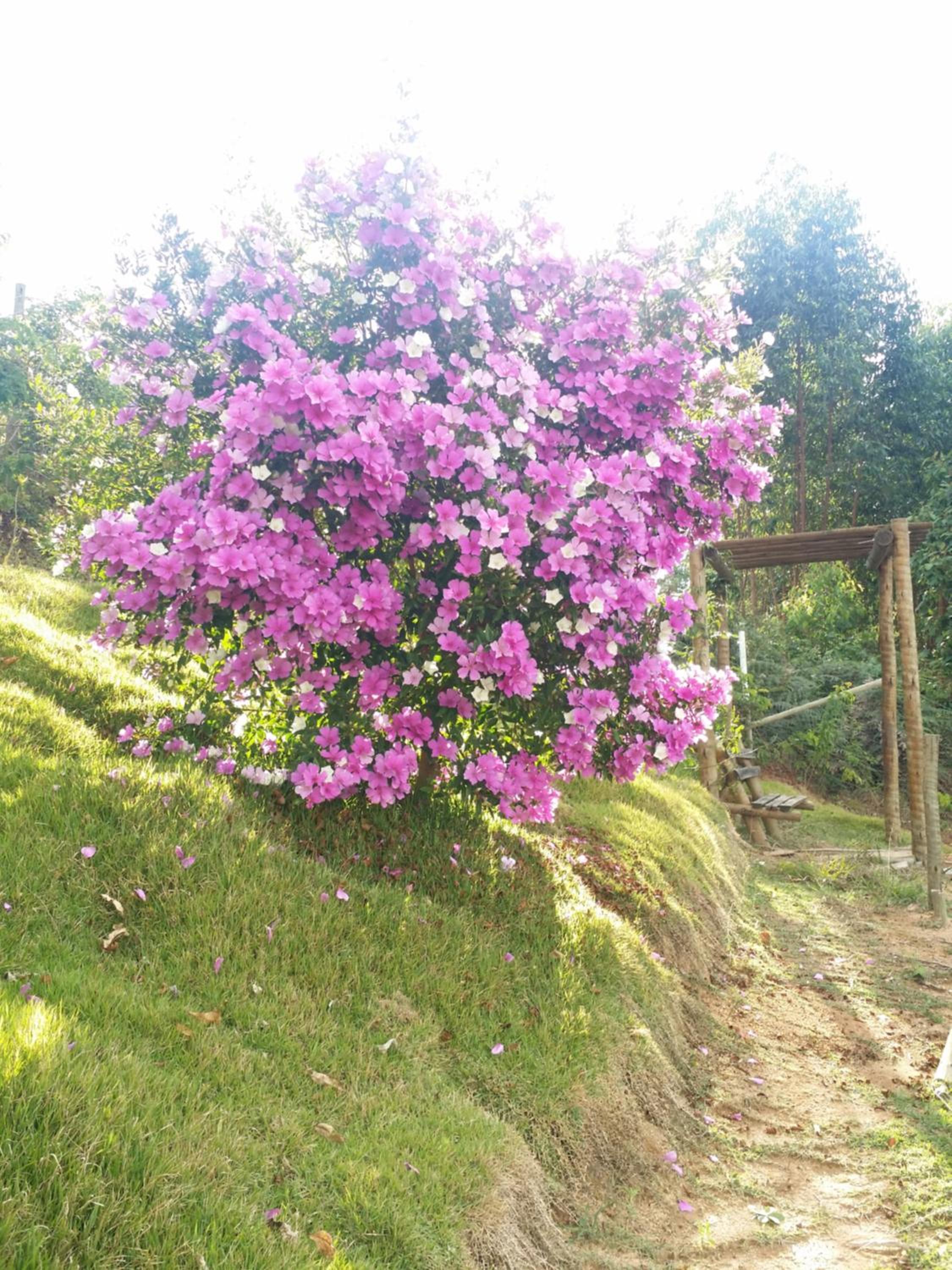 Recanto do Vale