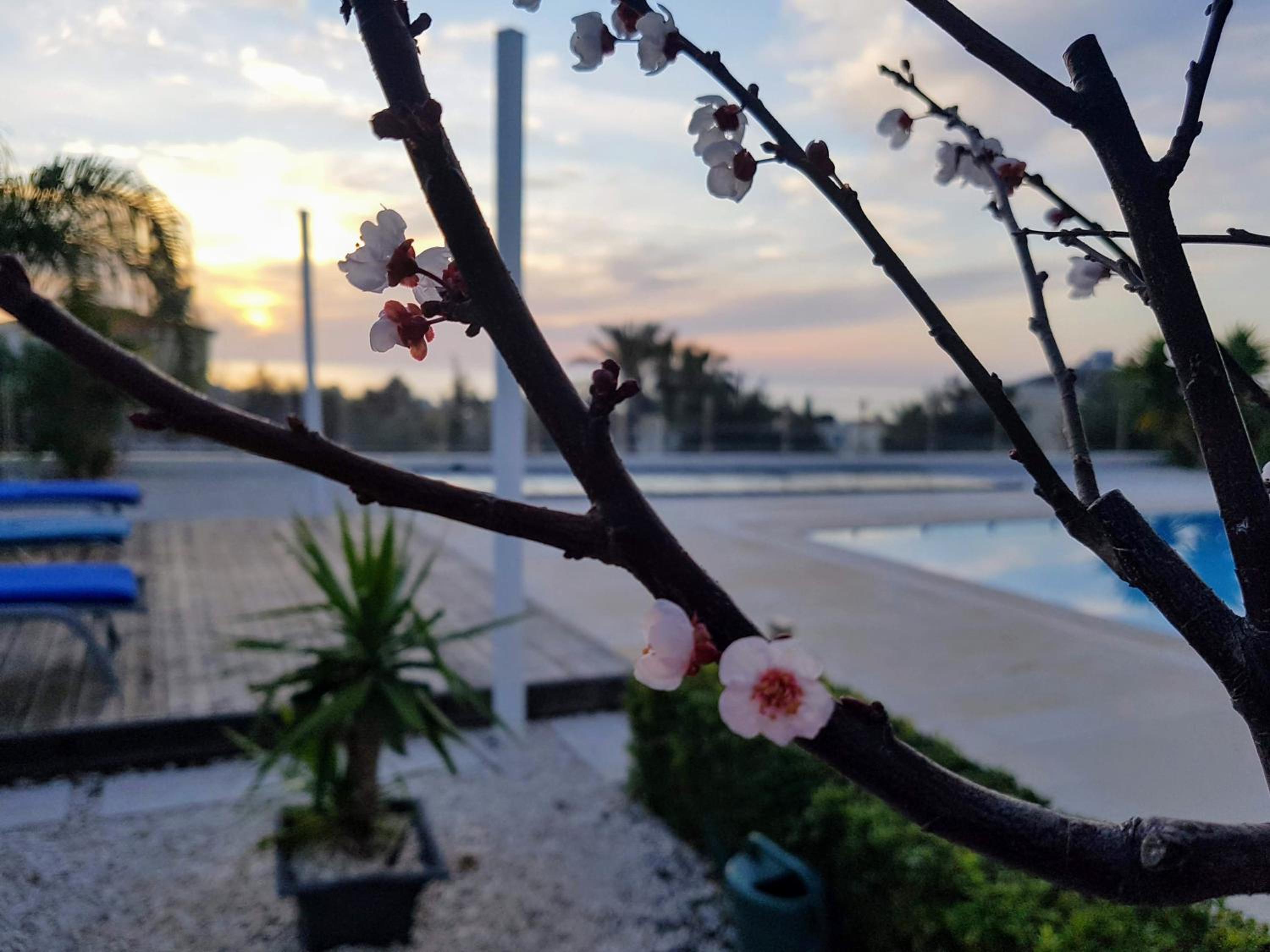 Villa Verdi: Luxury villa with private pool