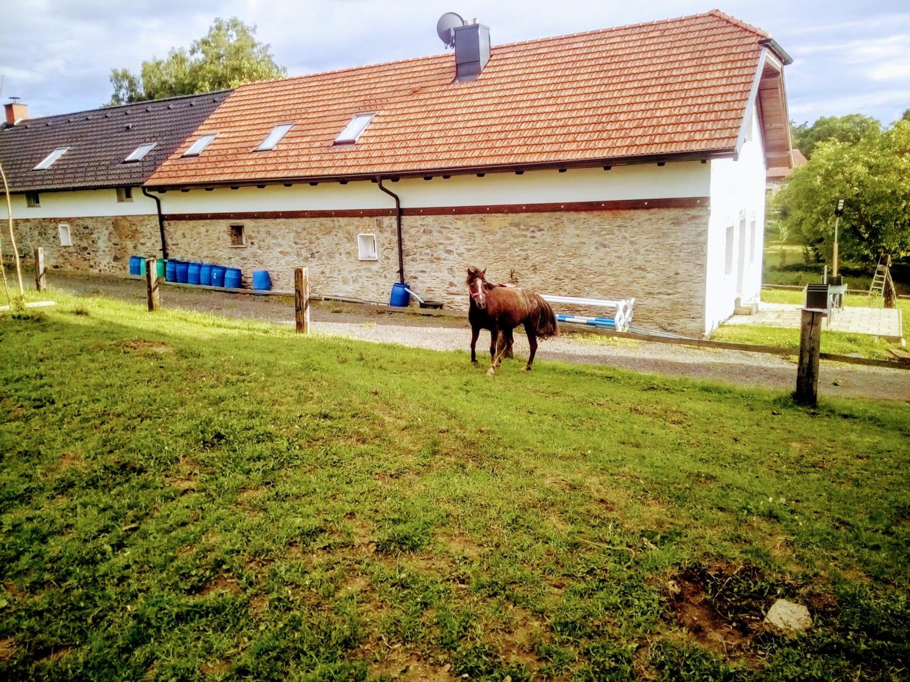 Čenovický dvůr
