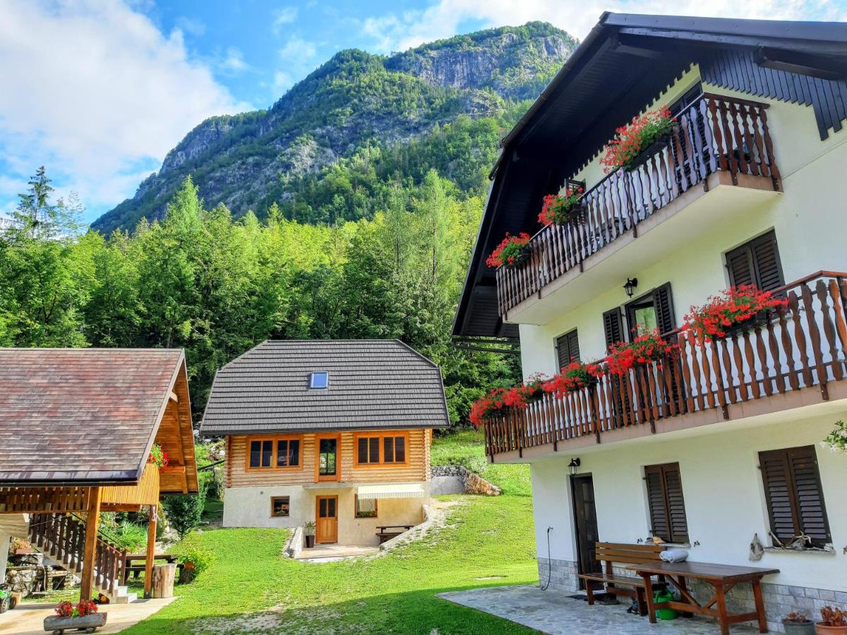 Apartments and rooms Kravanja view 4