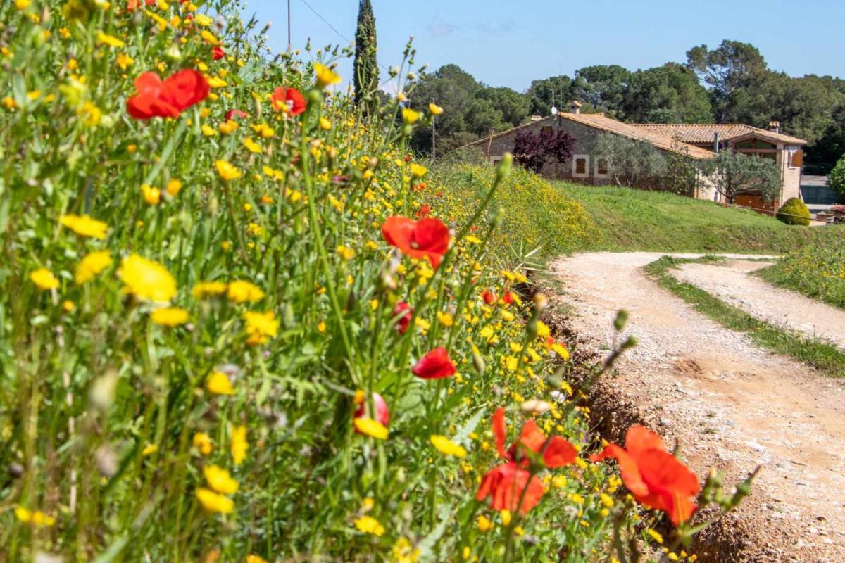 Cal Parent Casa rural en el Pla de lEstany photo 3