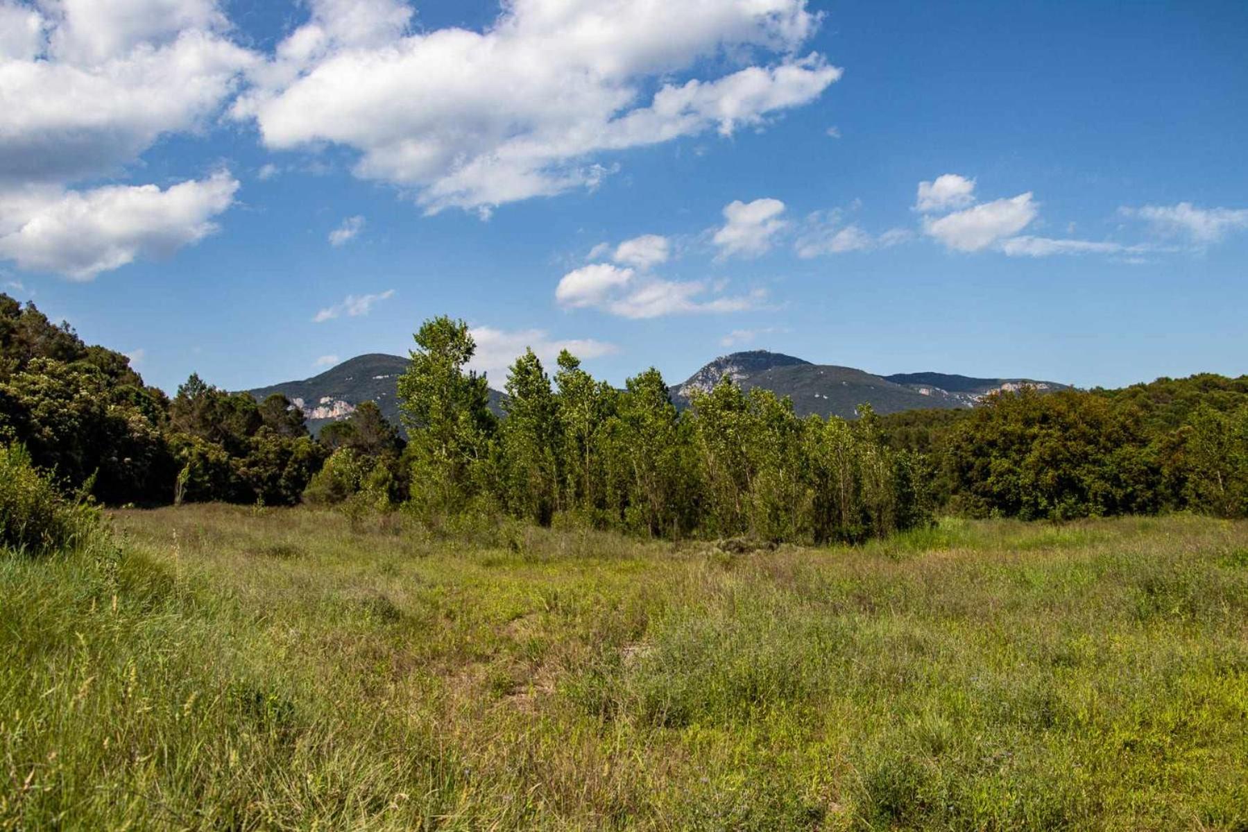 Mas Aimà - Casa rural en la Garrotxa view 2