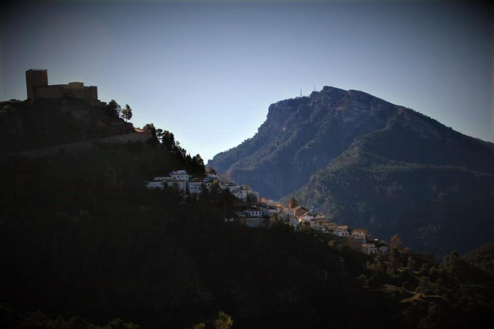 Photo 44