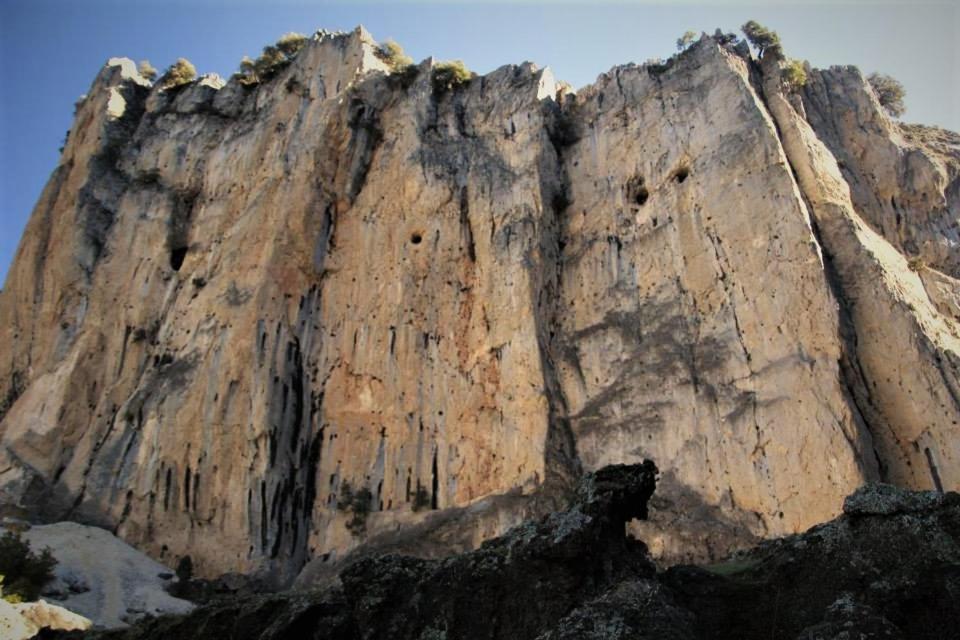 Photo 45
