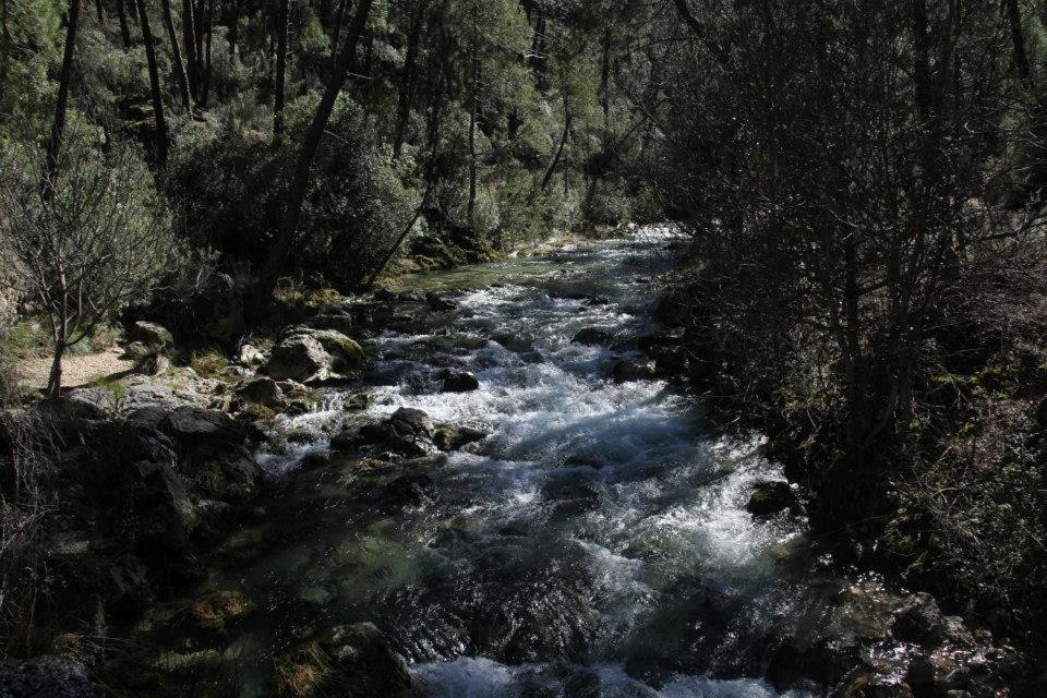 Photo 49