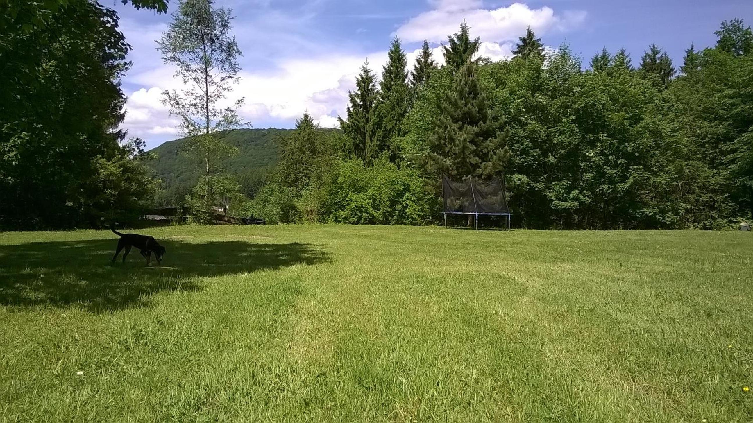 Waldpension Harzer Waldwinkel