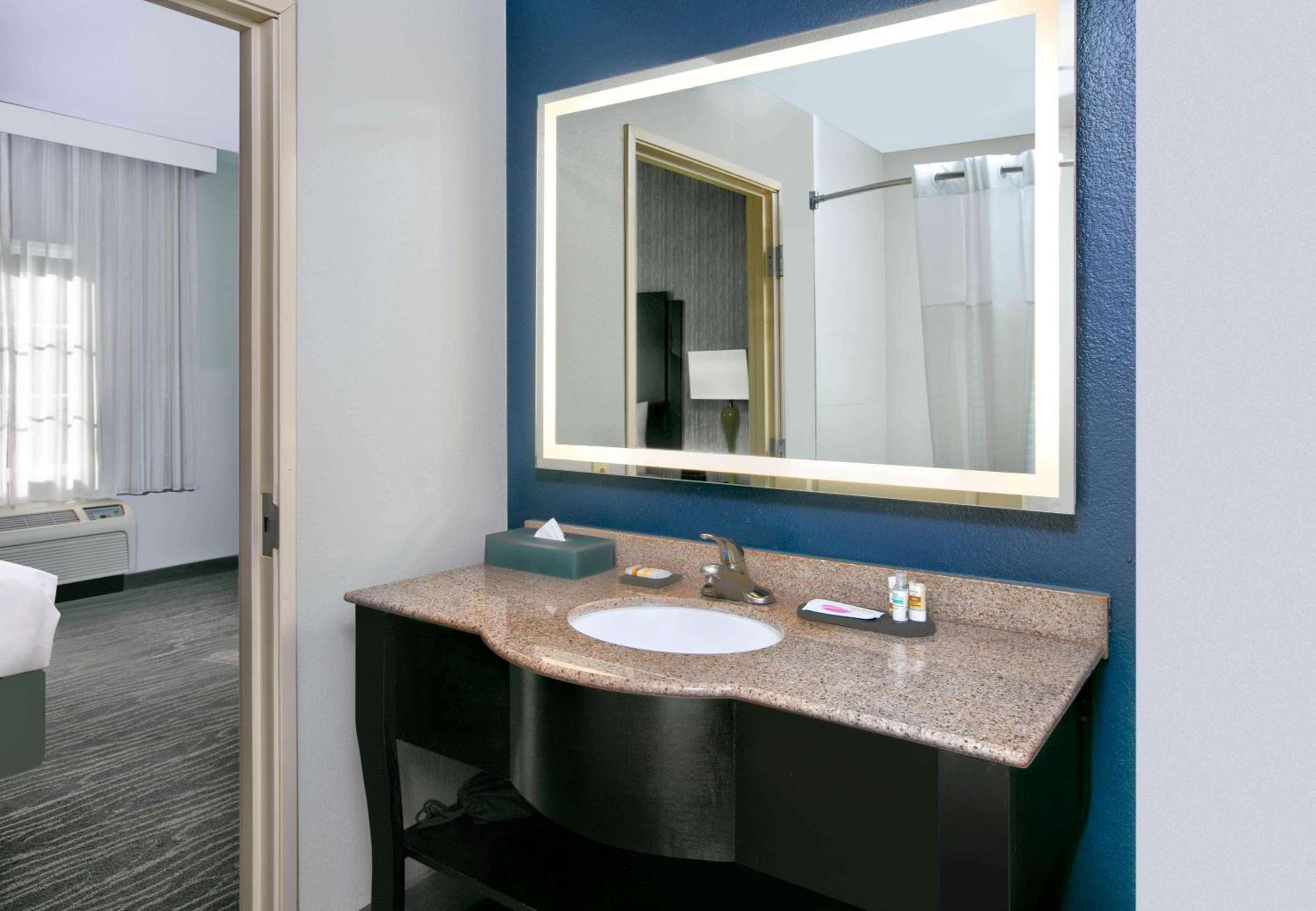 Palestine Vacations - La Quinta by Wyndham Palestine - Property Image 6