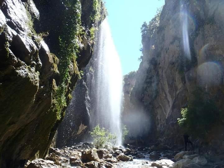 Photo 33