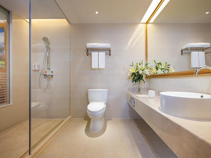 Venus International Hotel Shenzhen Gongming Tianhong