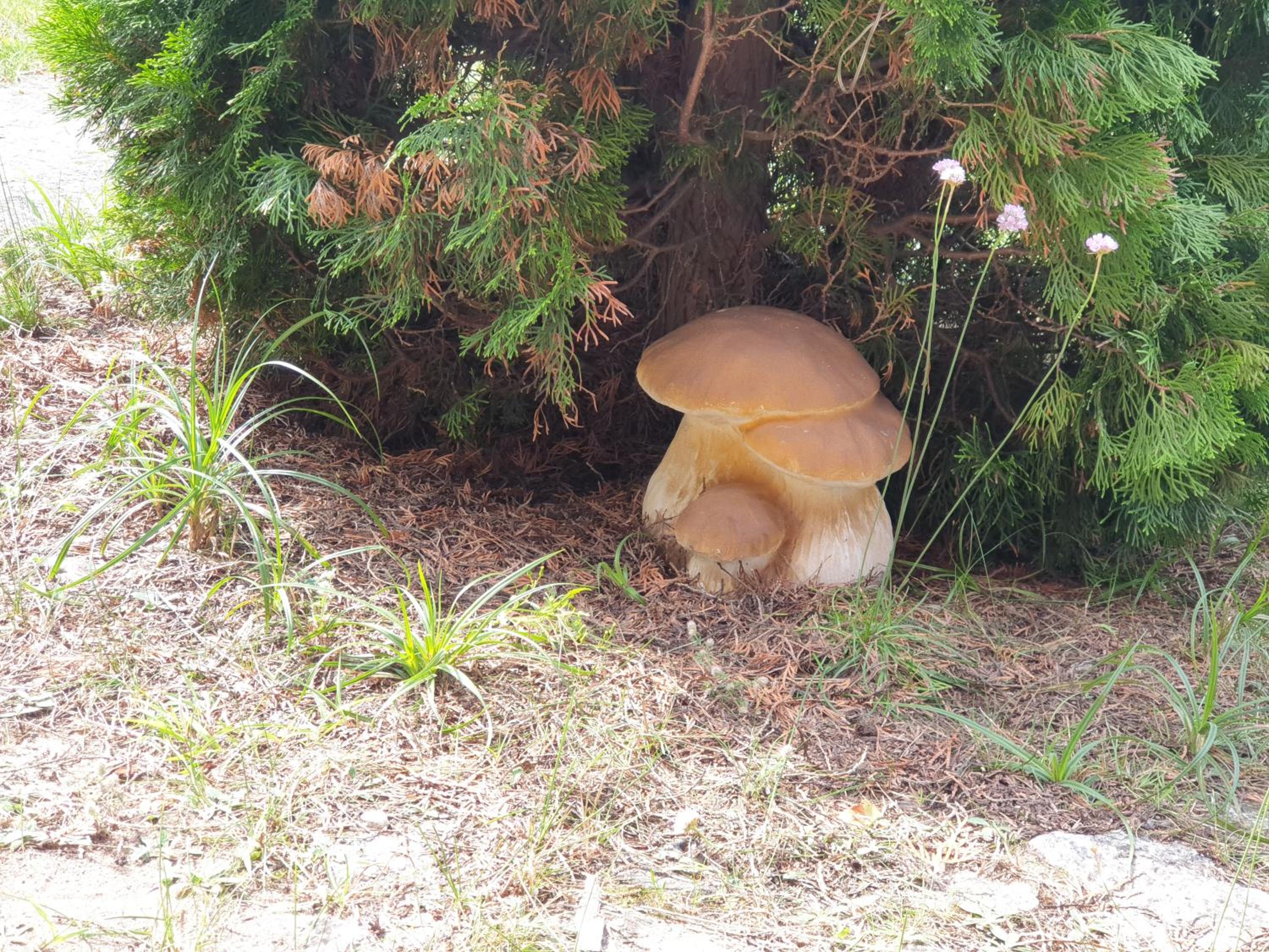 Photo 40