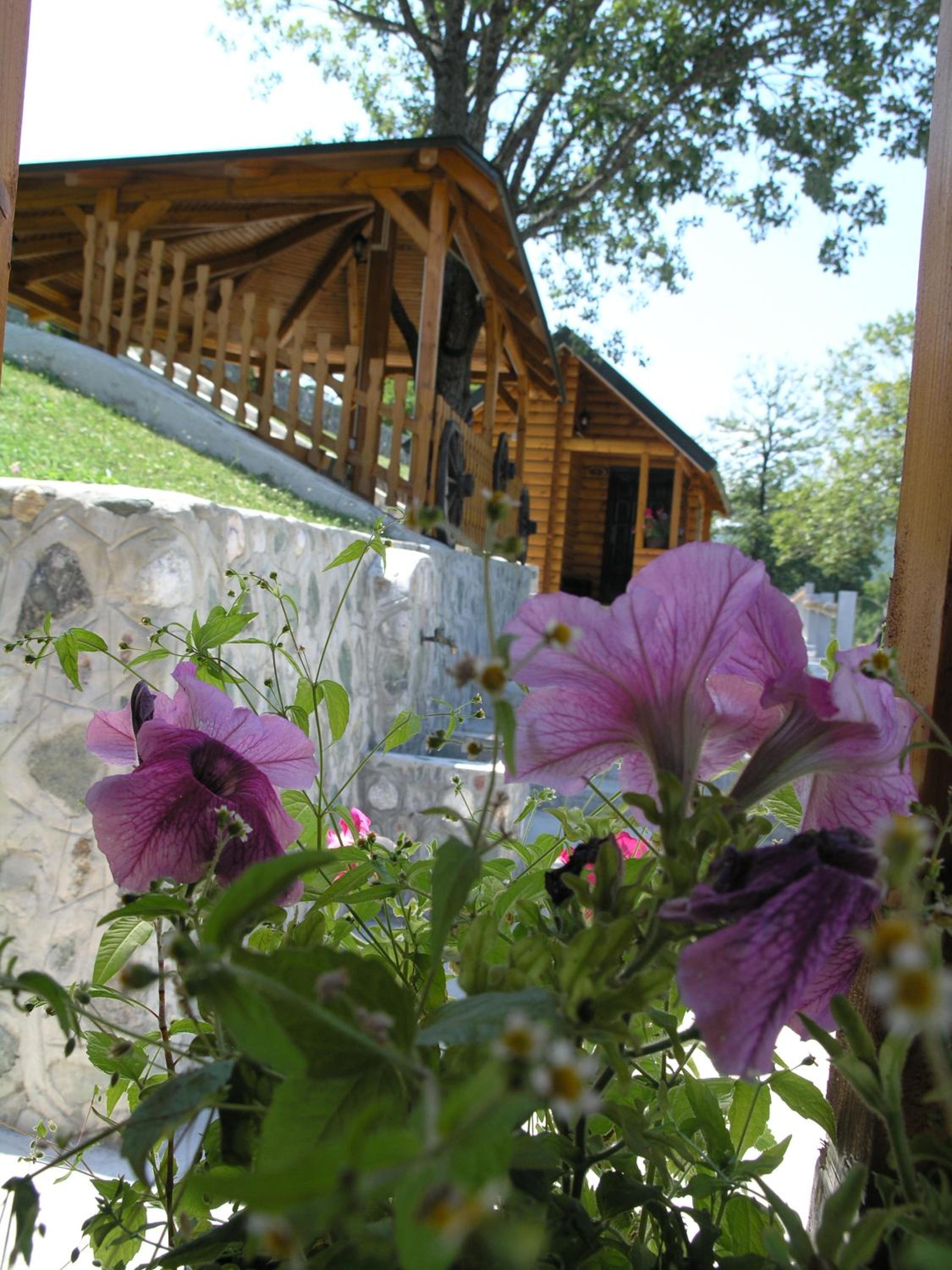 Photo 41