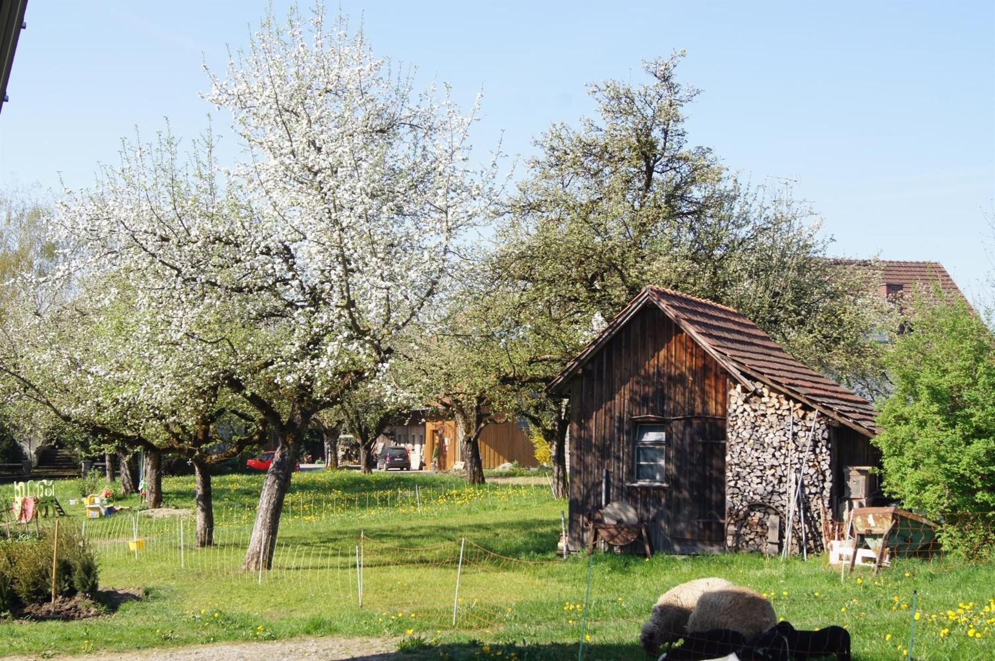 Ferienwohnung im Obstgarten