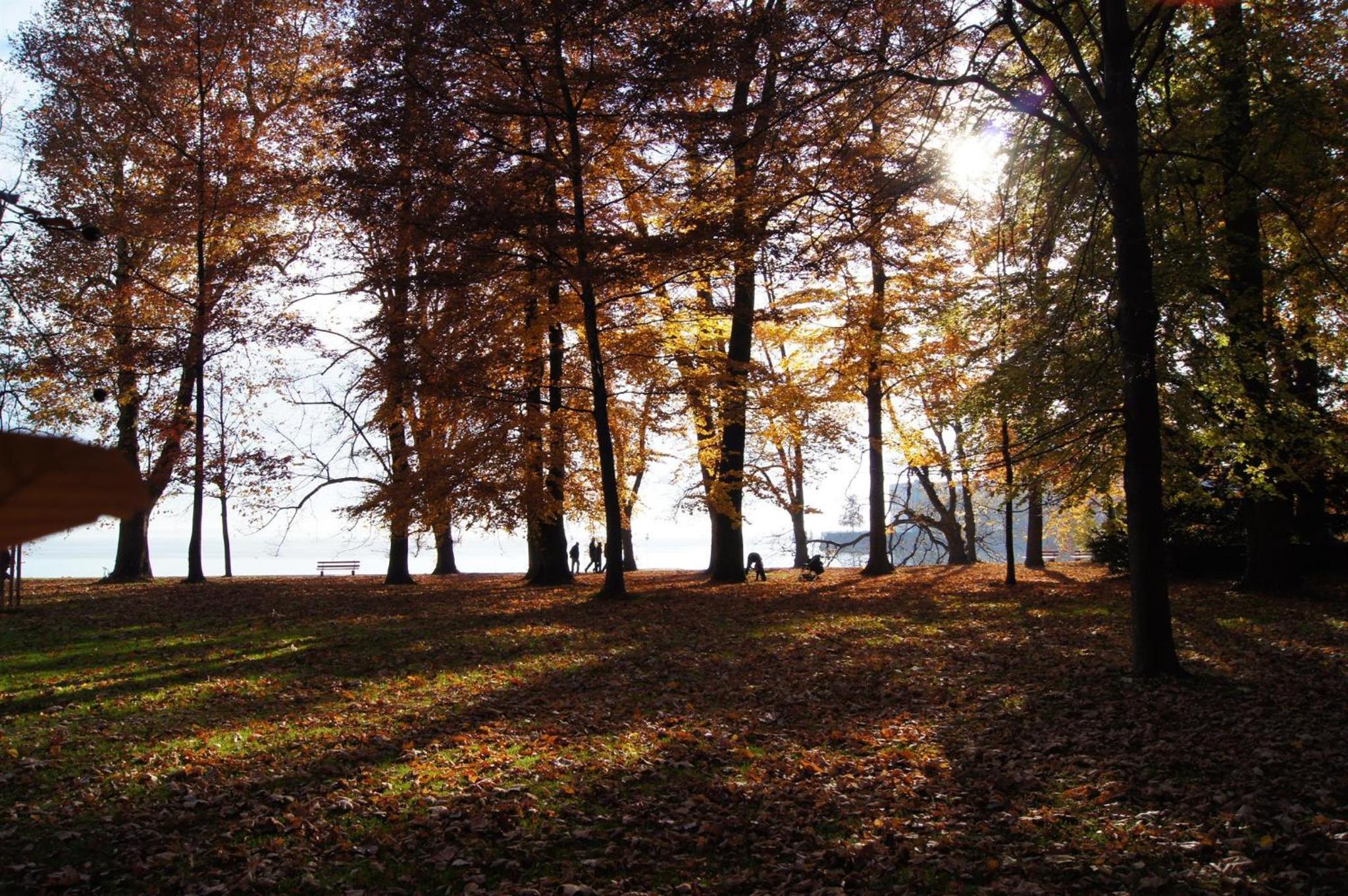 Ferienwohnung im Obstgarten