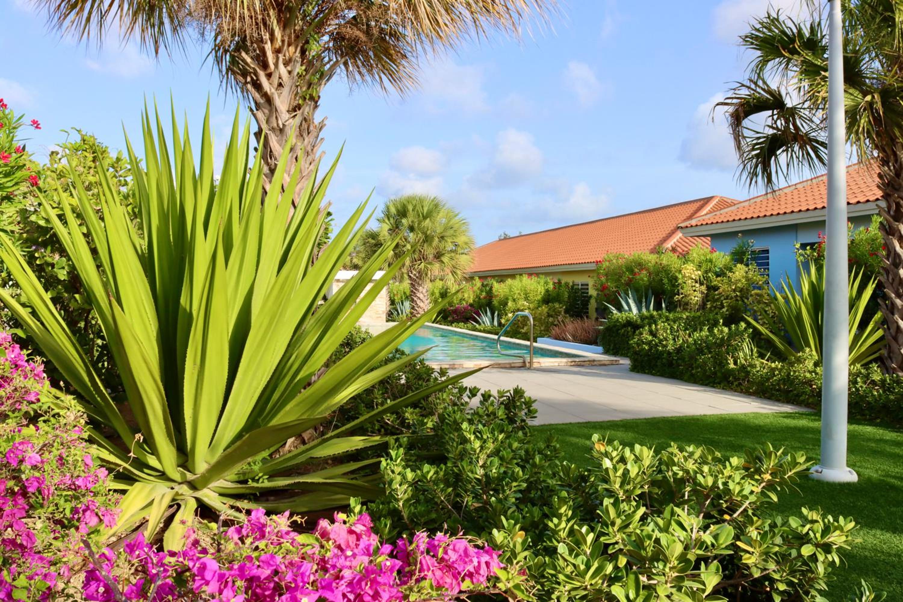 Ultimate Caribbean Experience