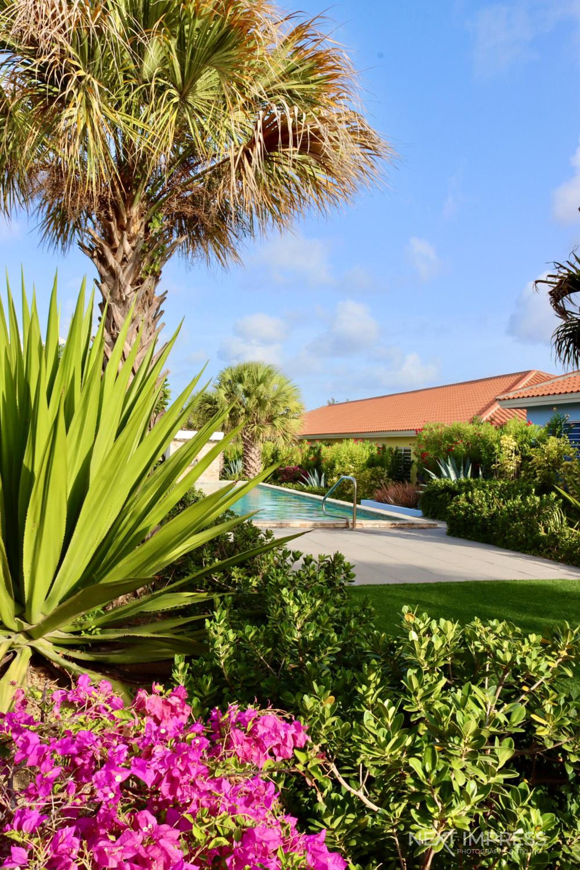 Ultimate Caribbean Experience