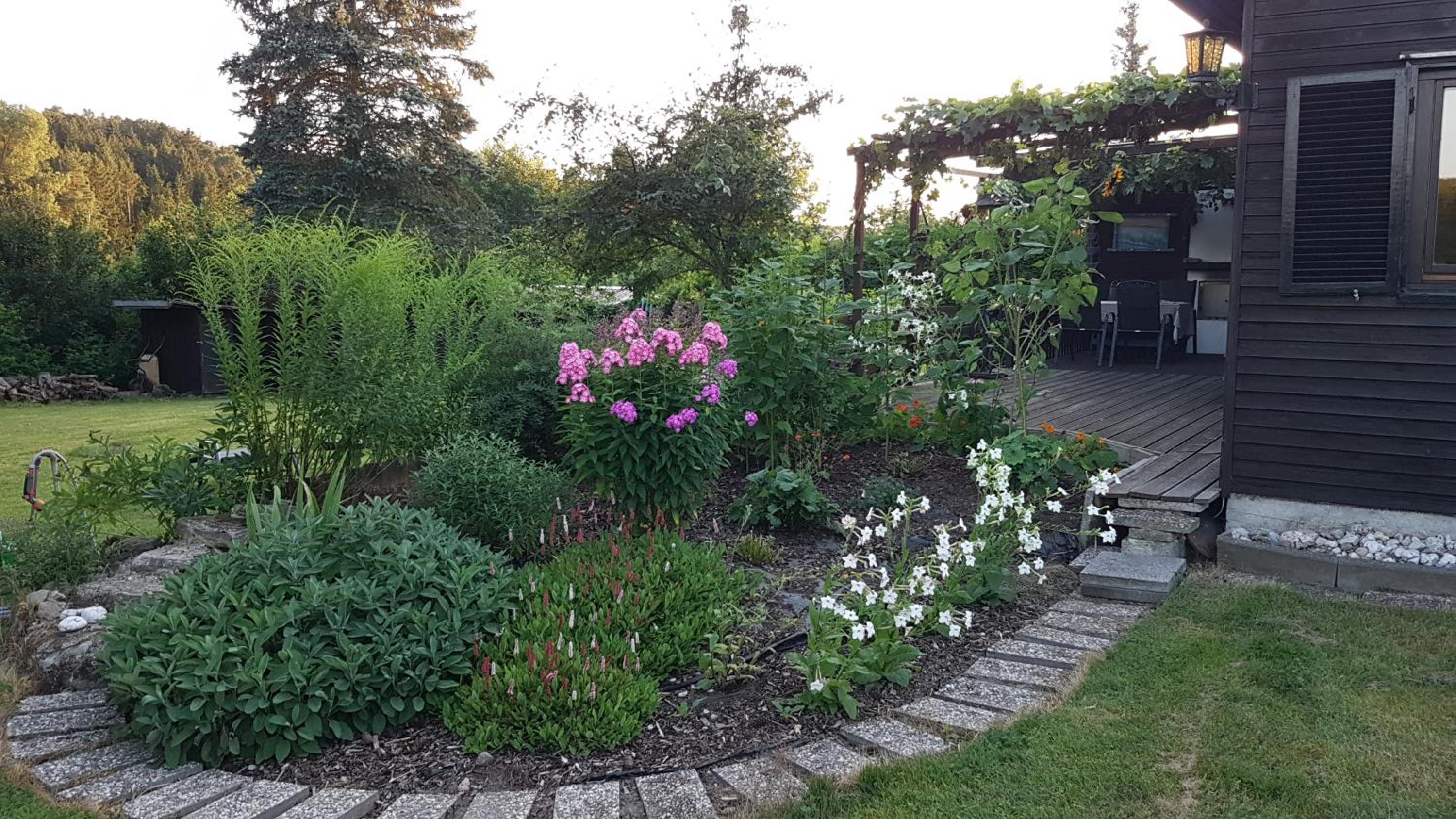 Gemütliches Ferienhaus mit grossem Garten, ideal für Naturliebhaber