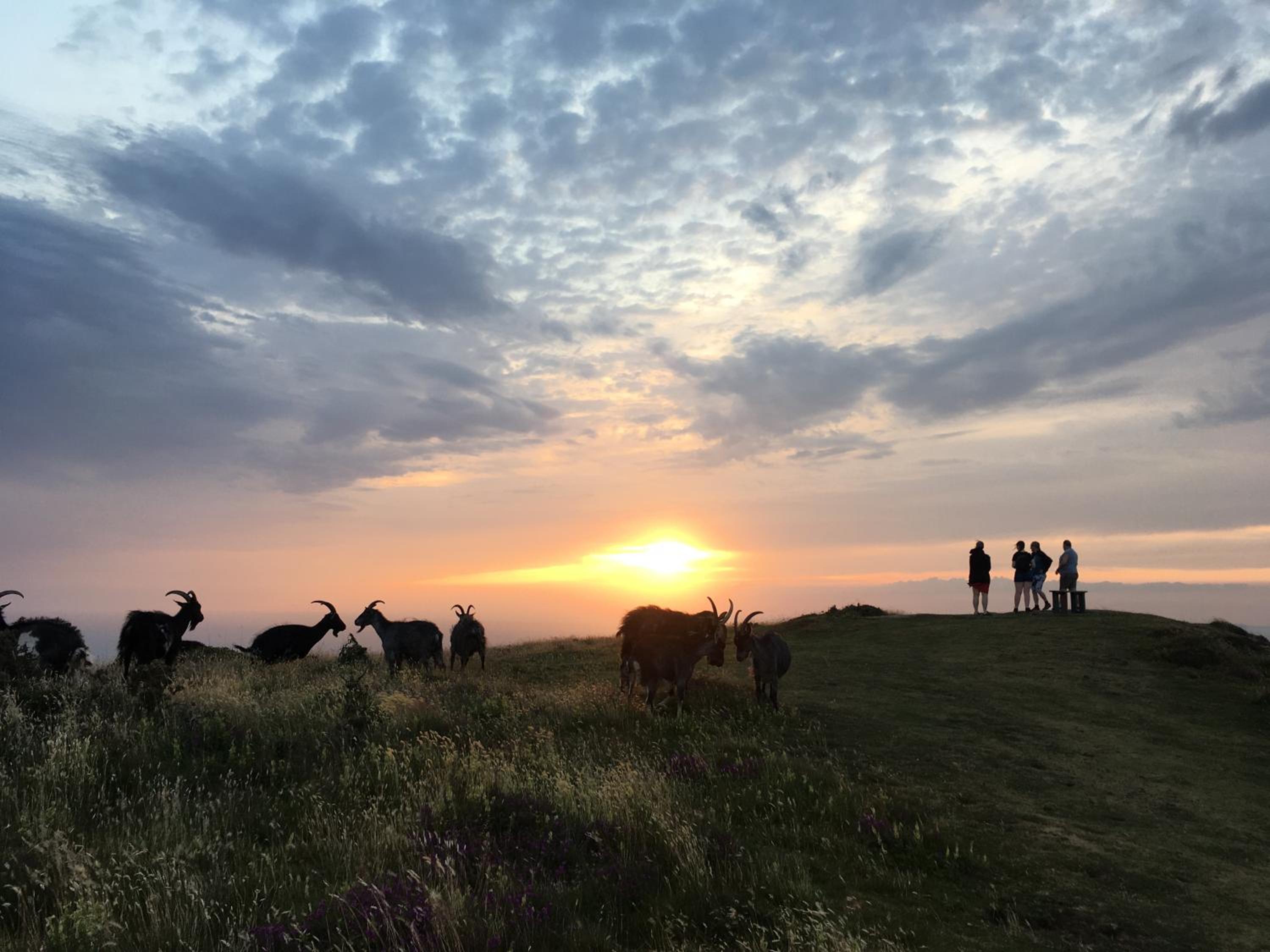 Lynton Vacations - The Denes - Property Image 9