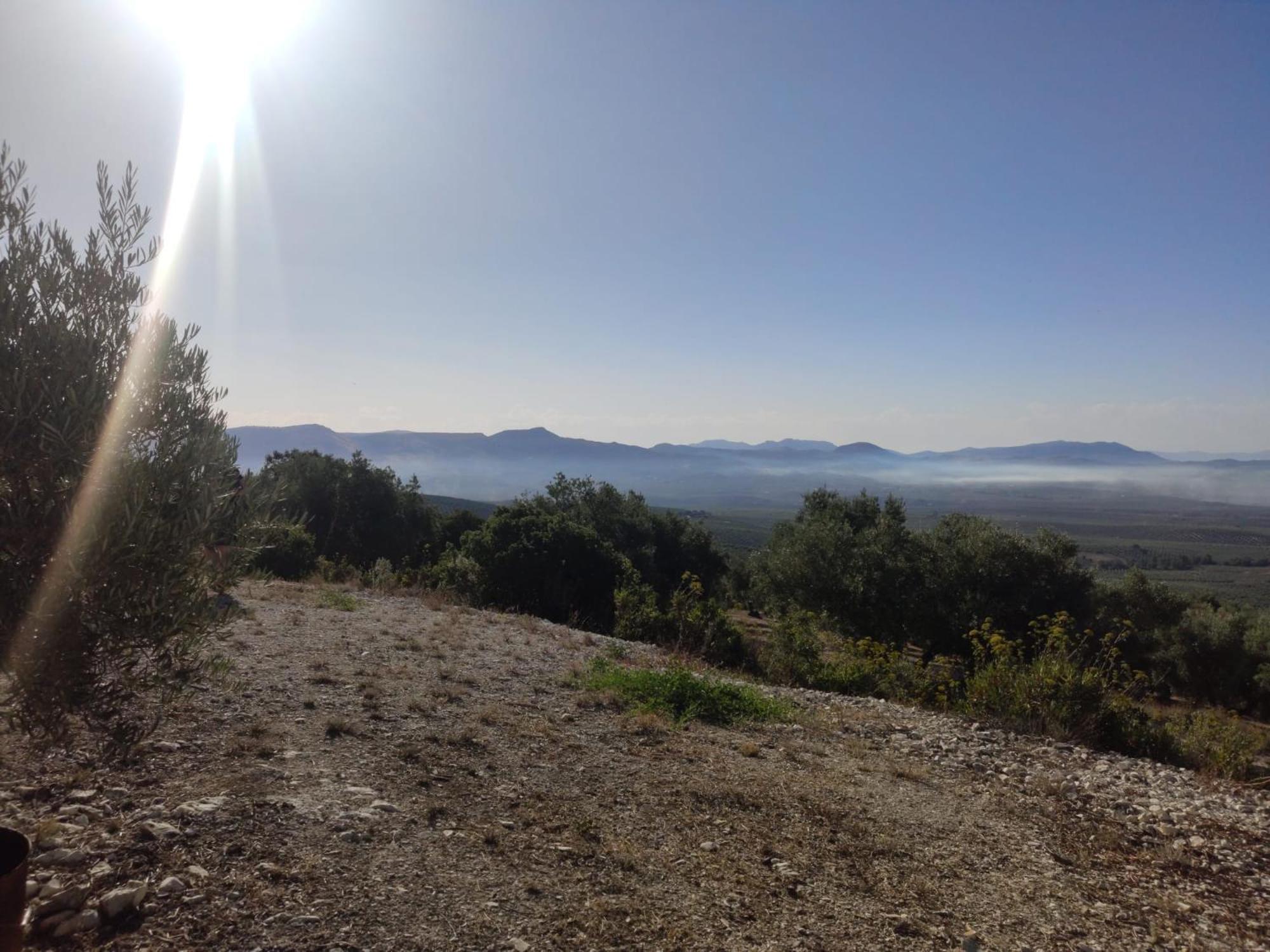 Cortijo Don Simón