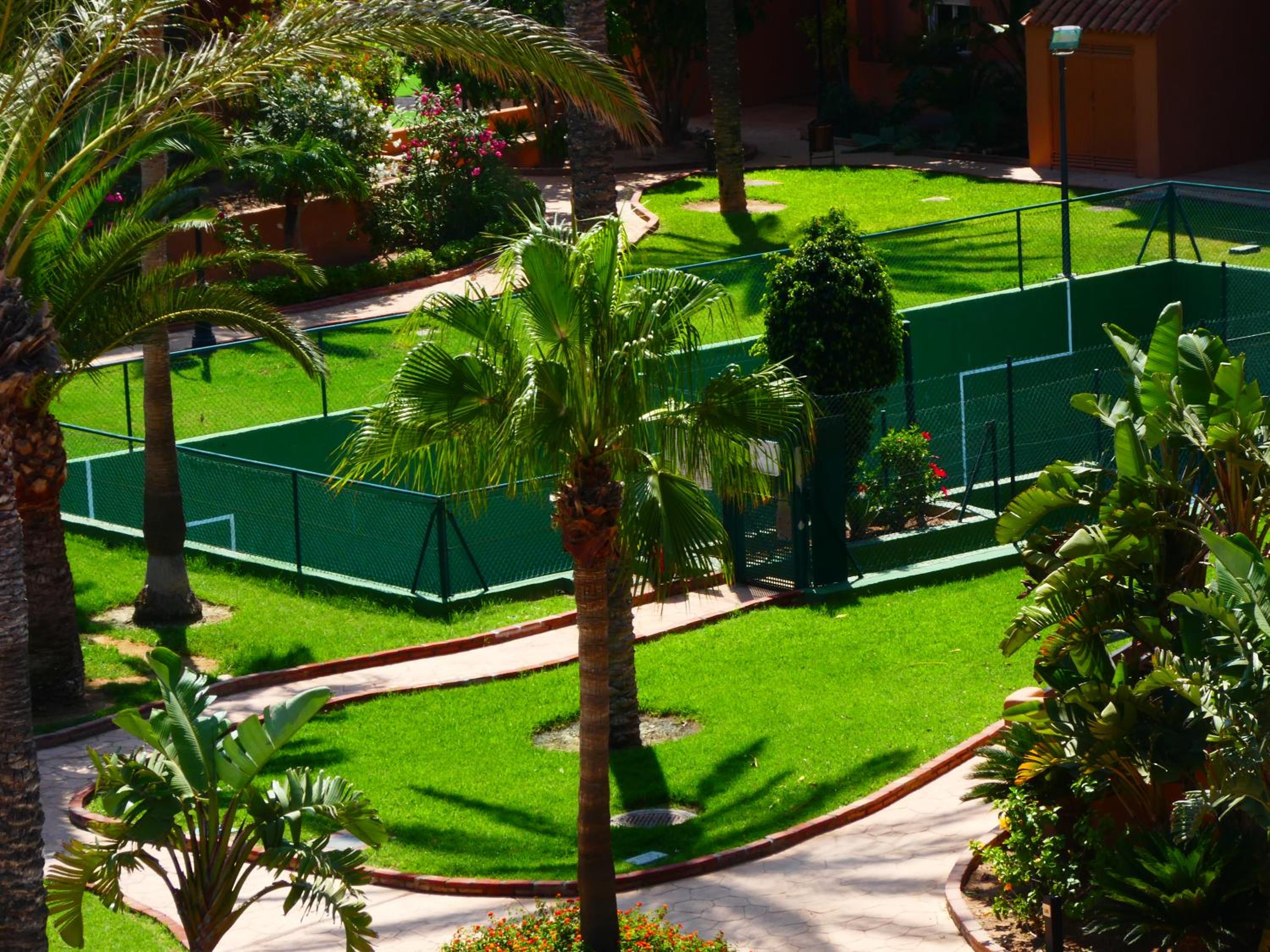 Photo 6