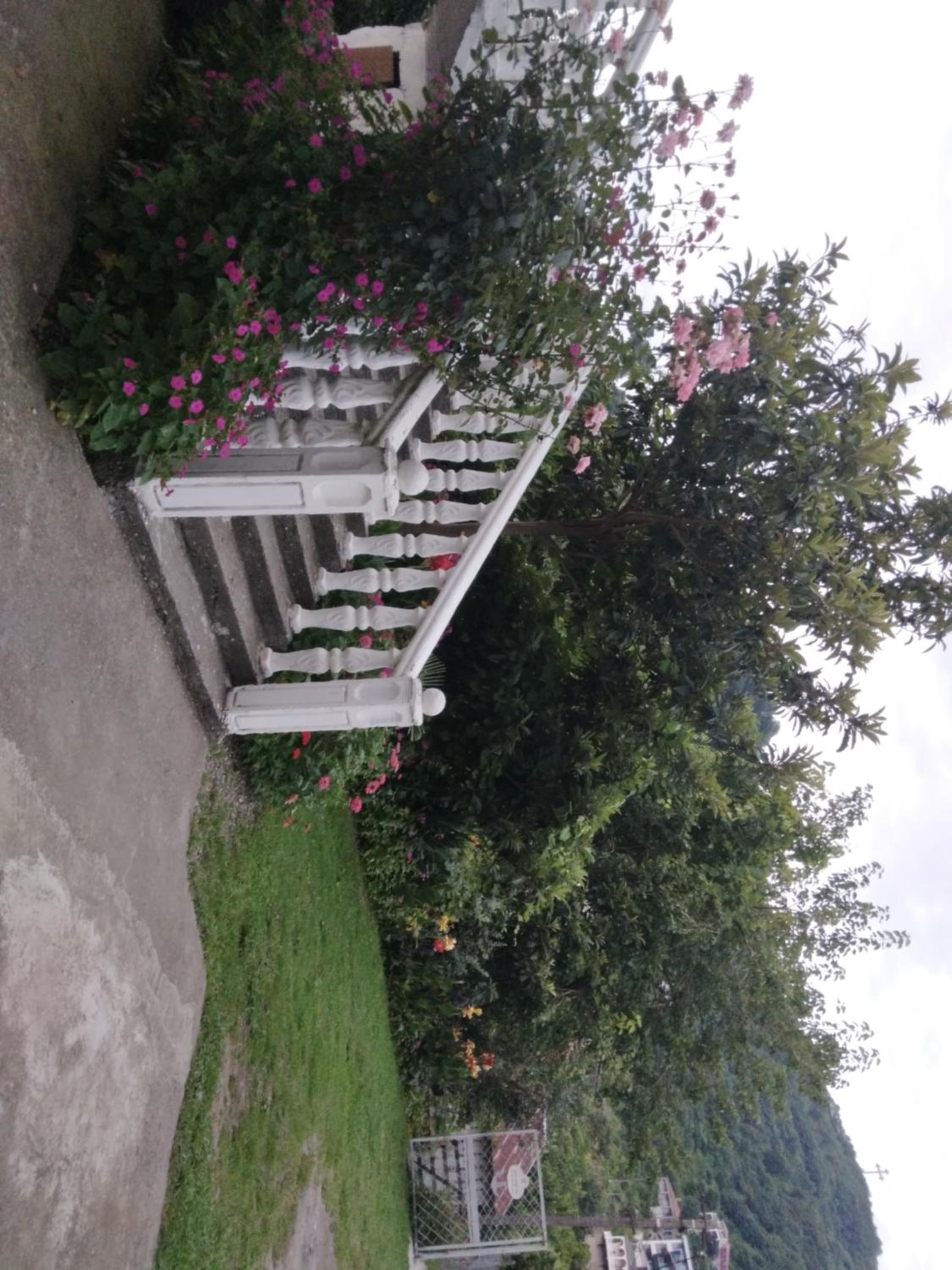 Photo 54