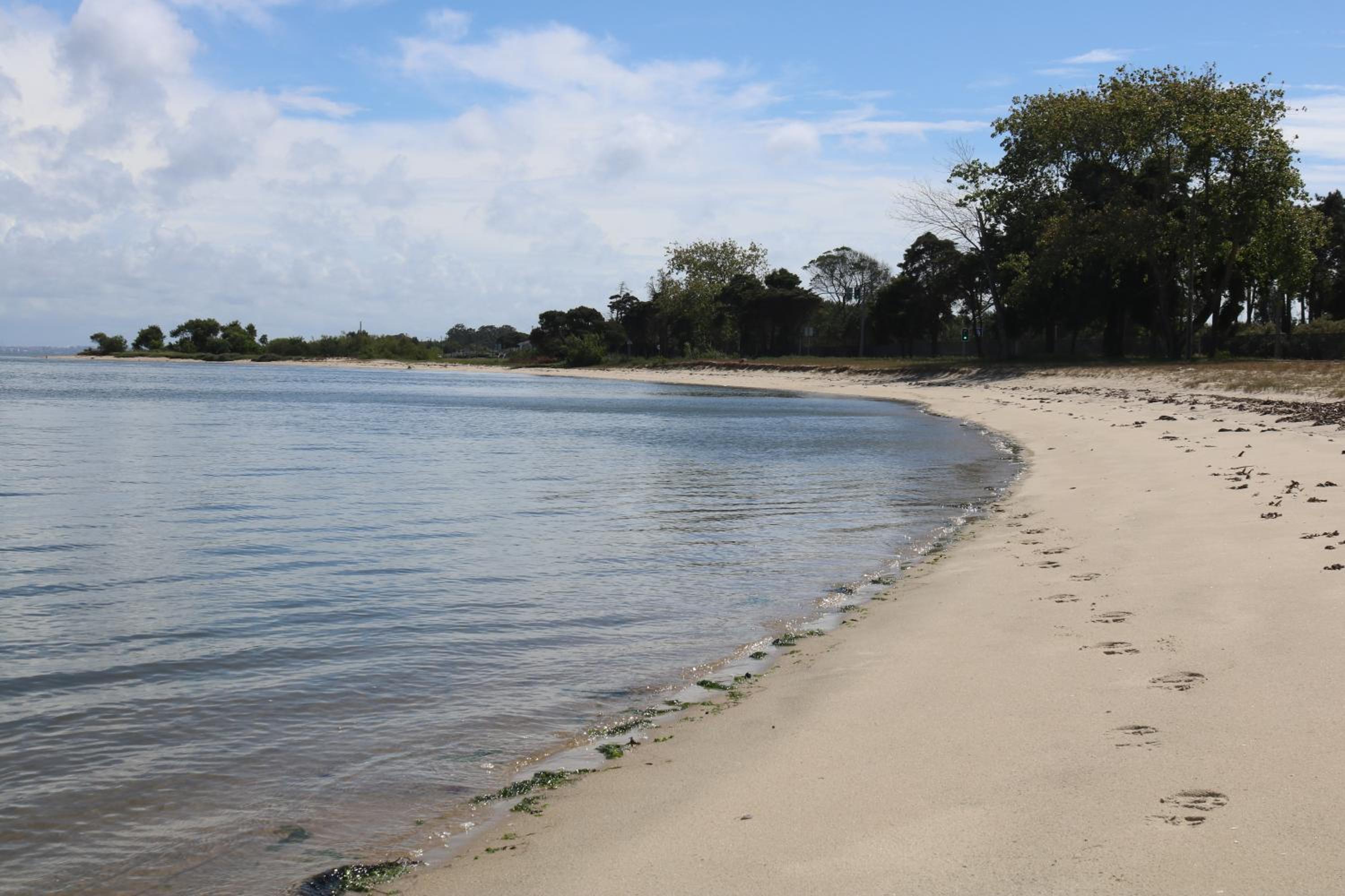 Photo 54