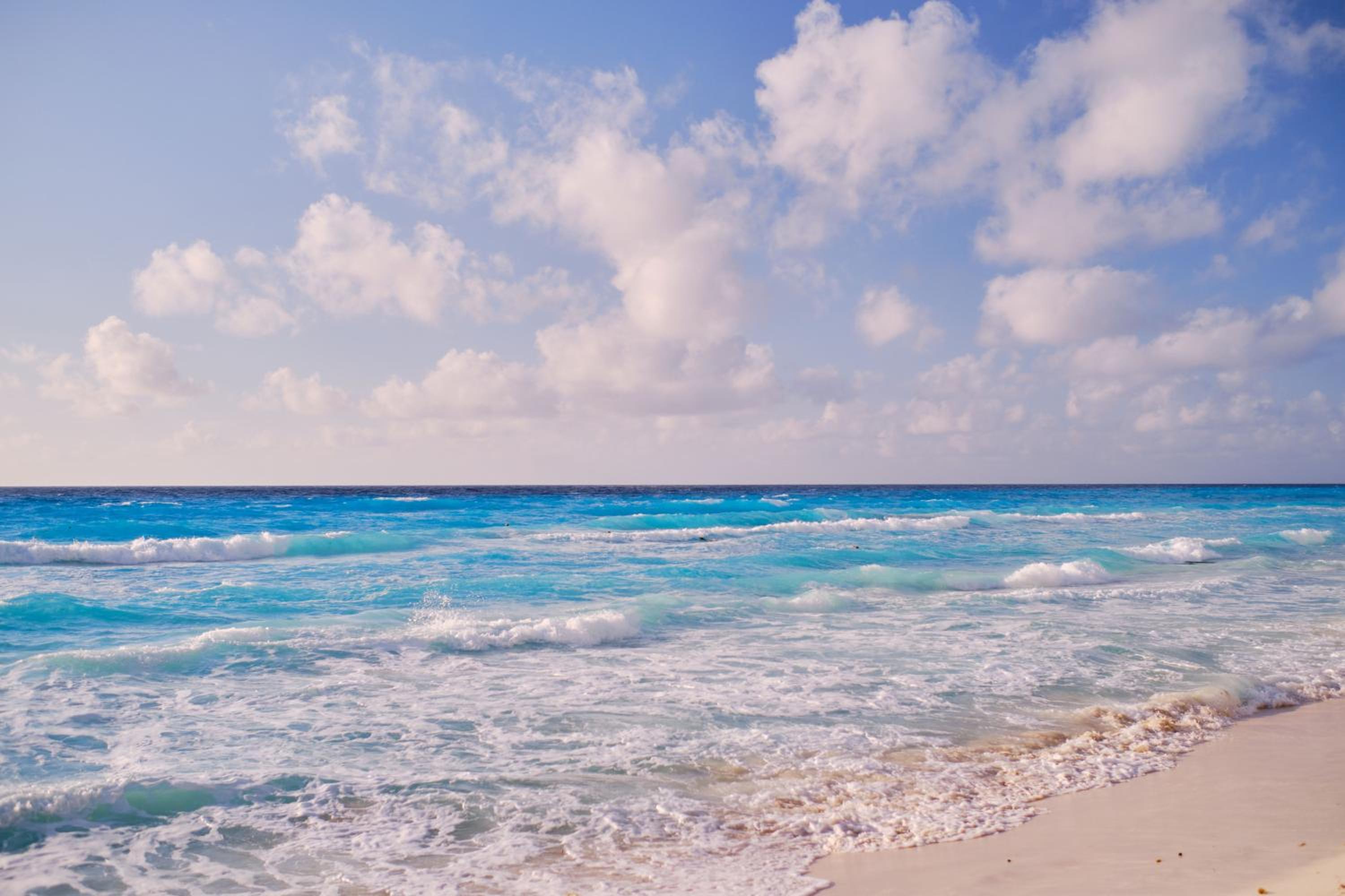 Hotel NYX Cancun