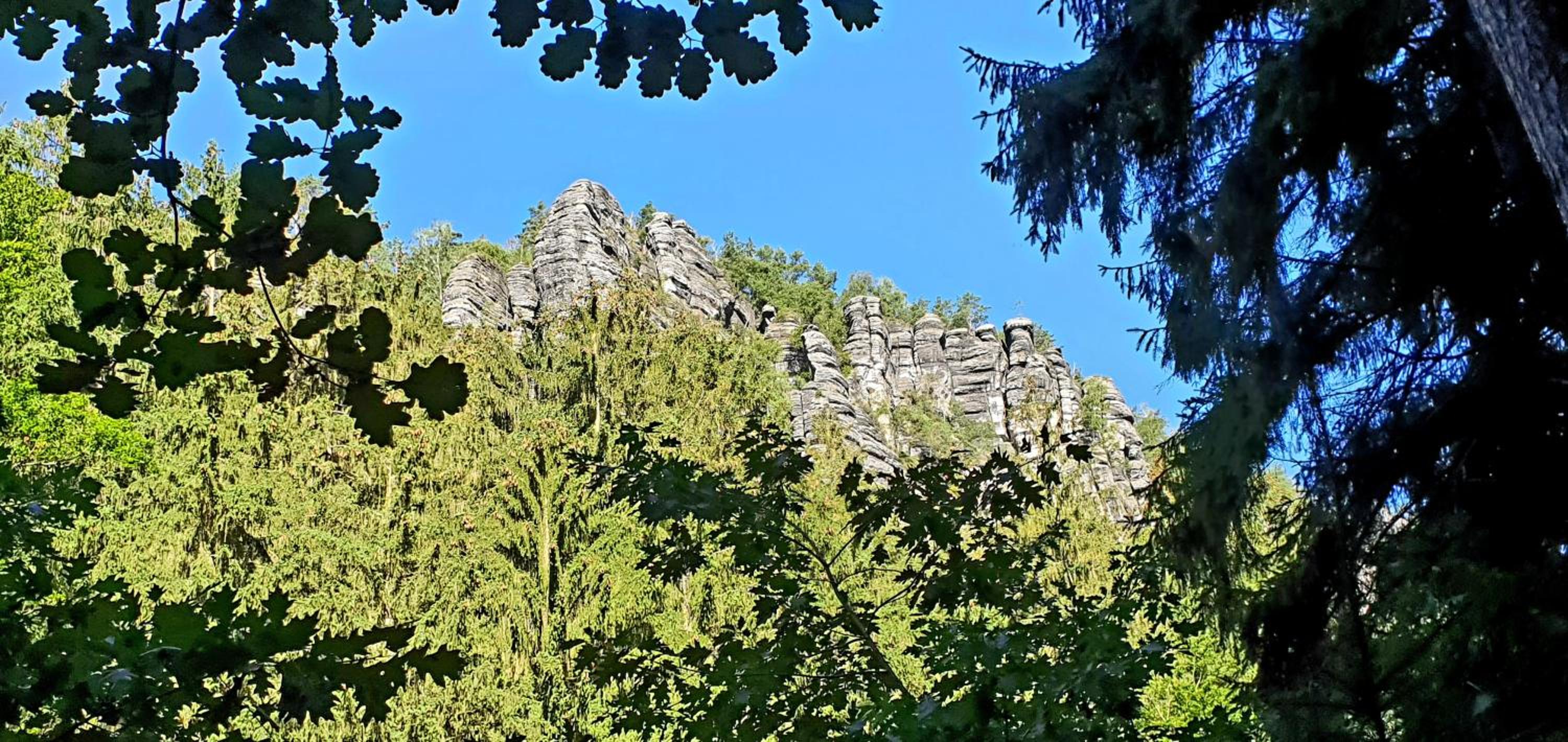 Sonniges Eck Ferienwohnung 1