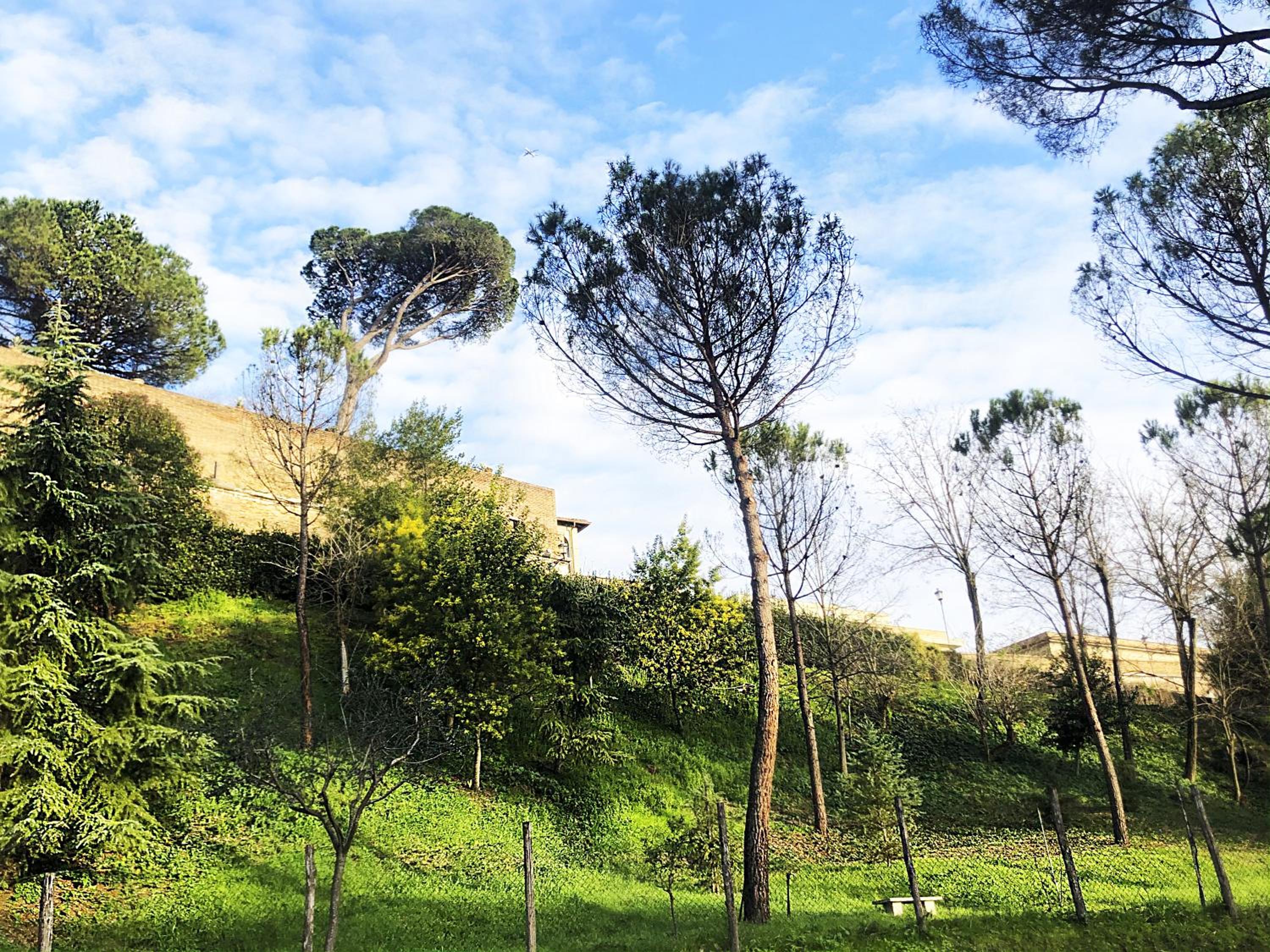 VATICAN GREEN HOLIDAYS HOUSE
