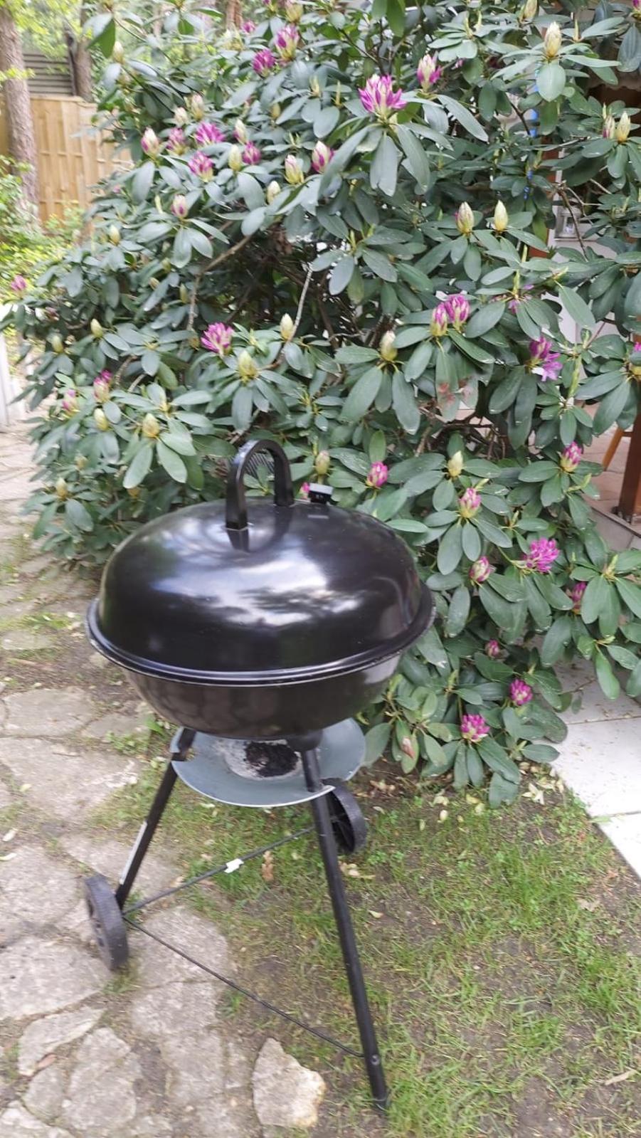 Photo 29