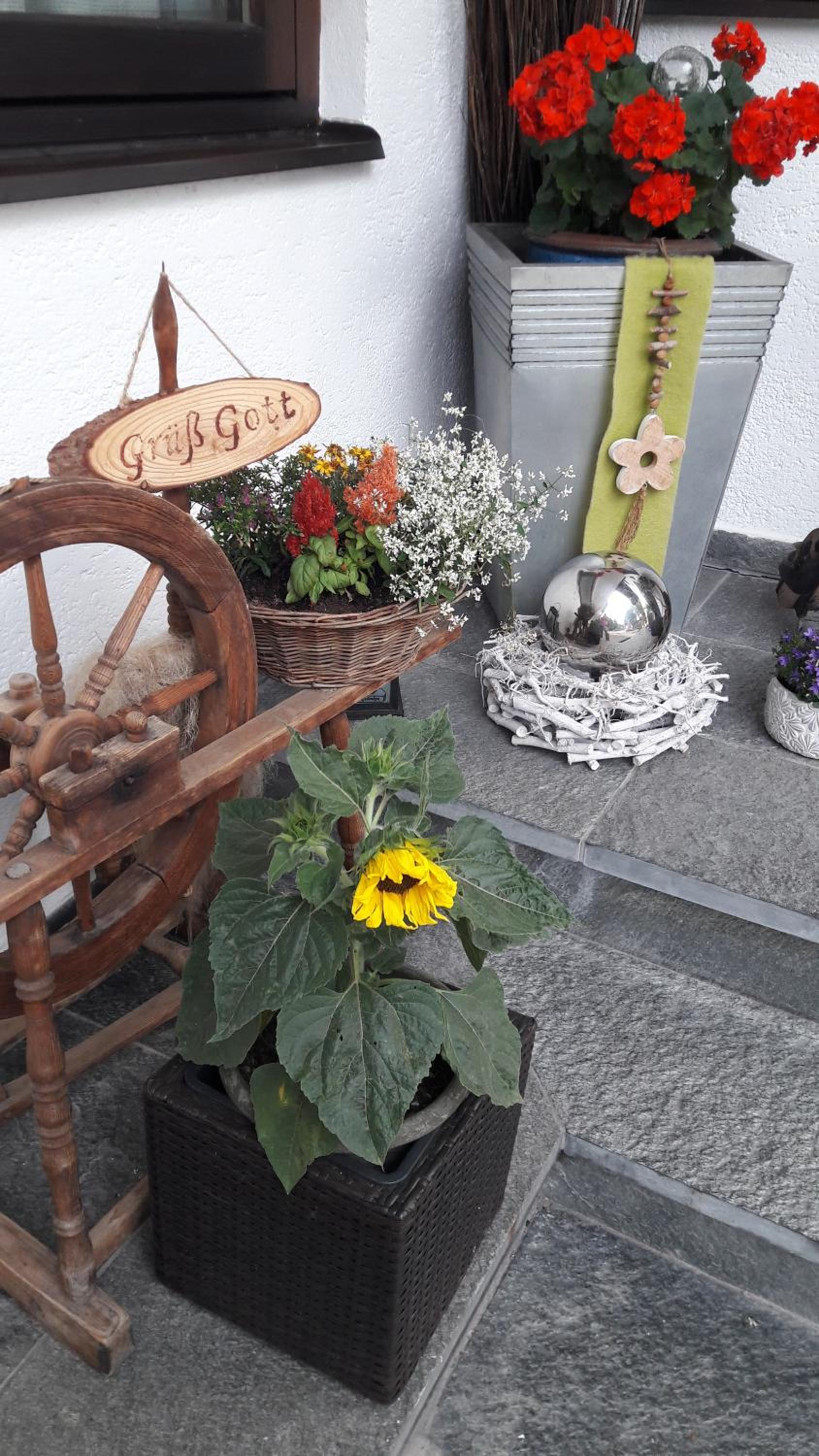 Appartement Hödlmoser