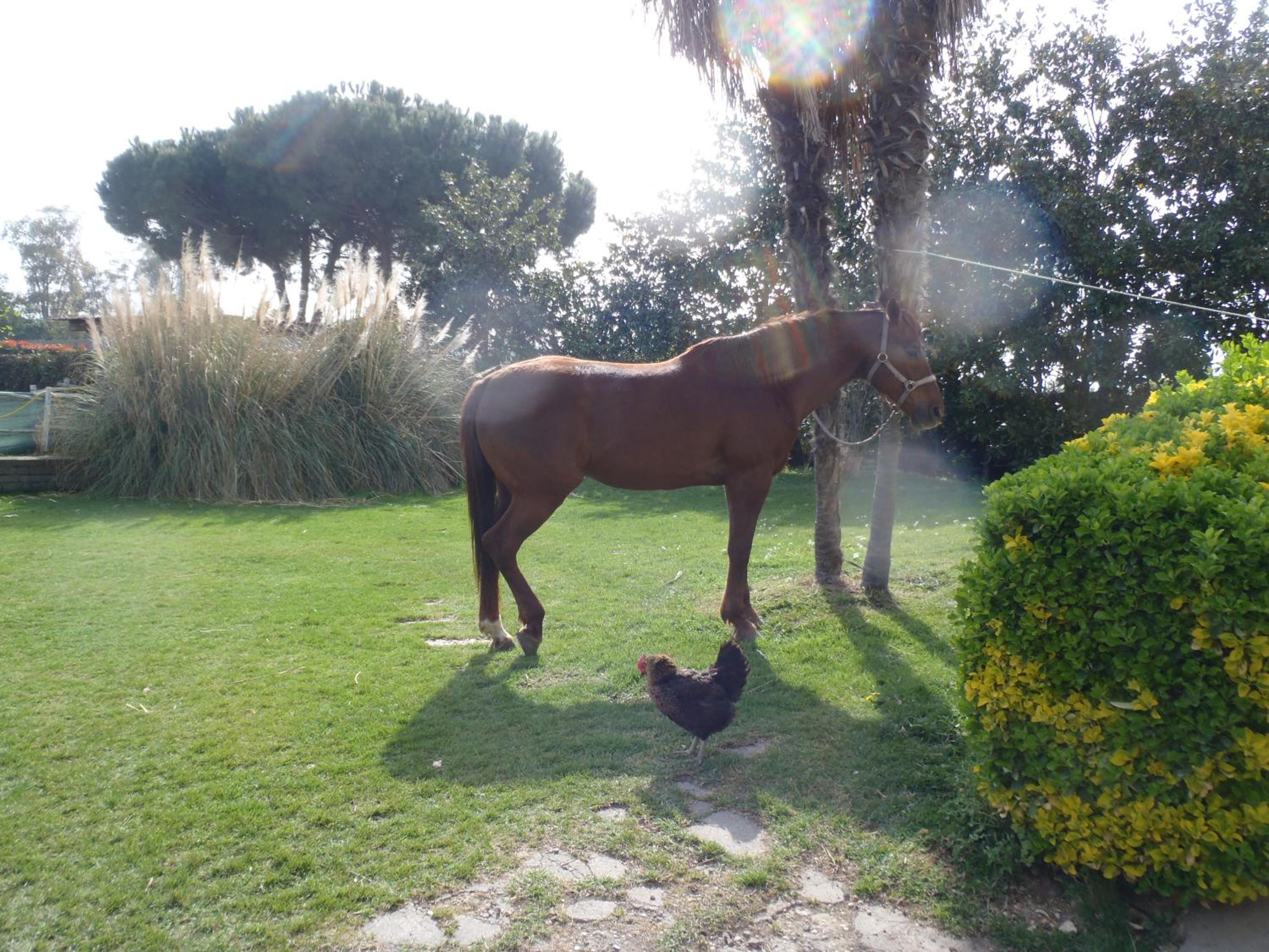 B&B Villa Sans Souci
