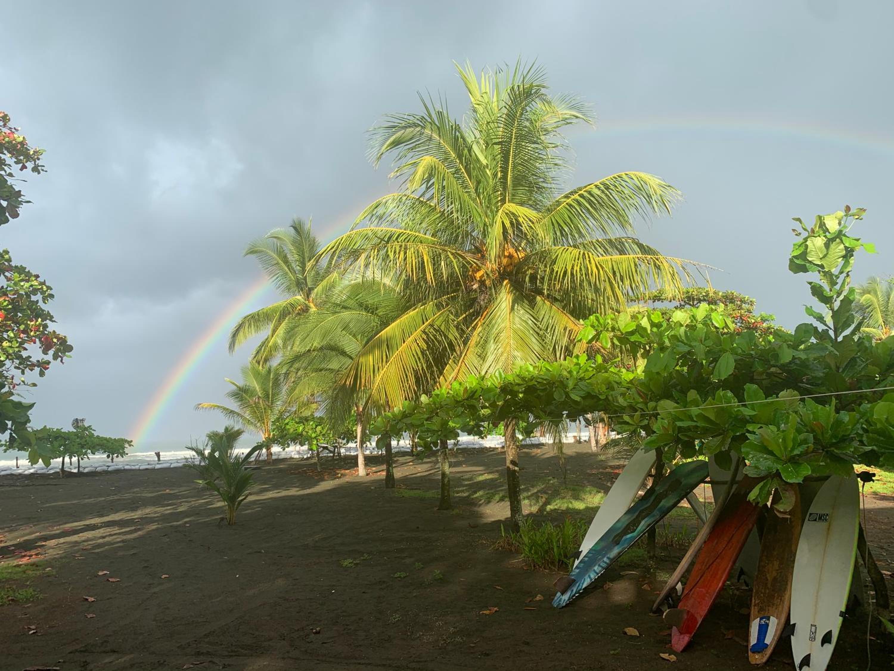 Miguel Surf Camp