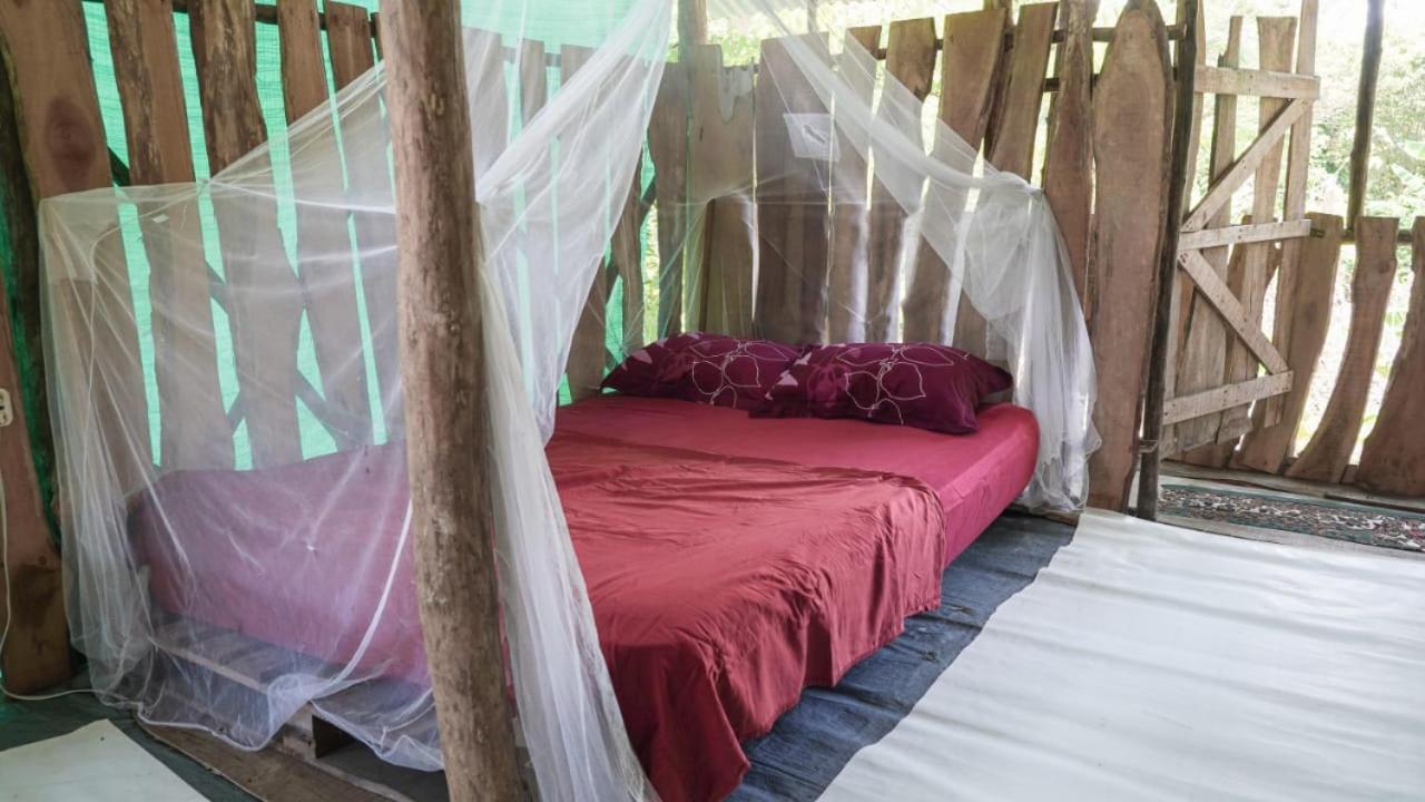 Miguel Surf Camp