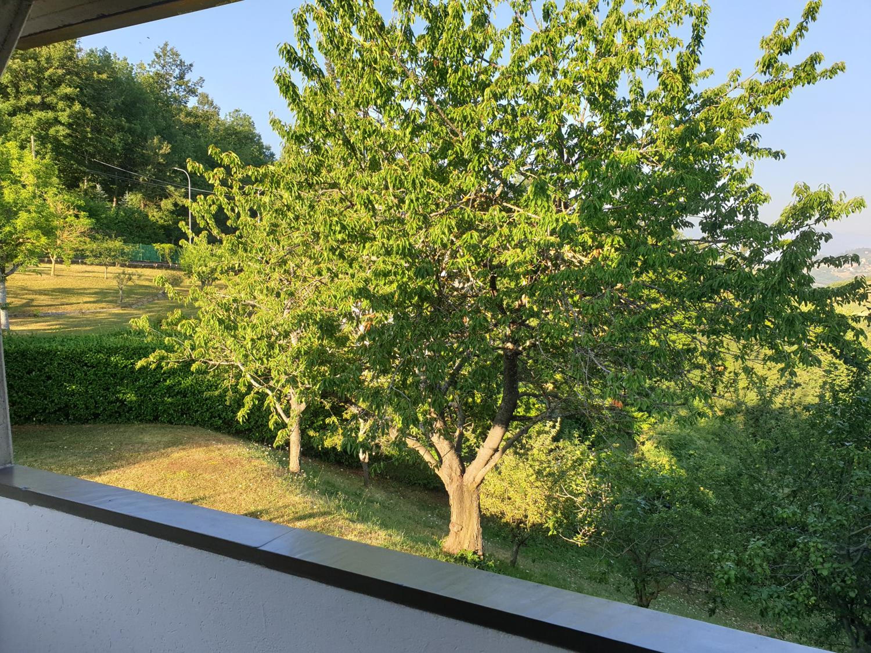Photo 36