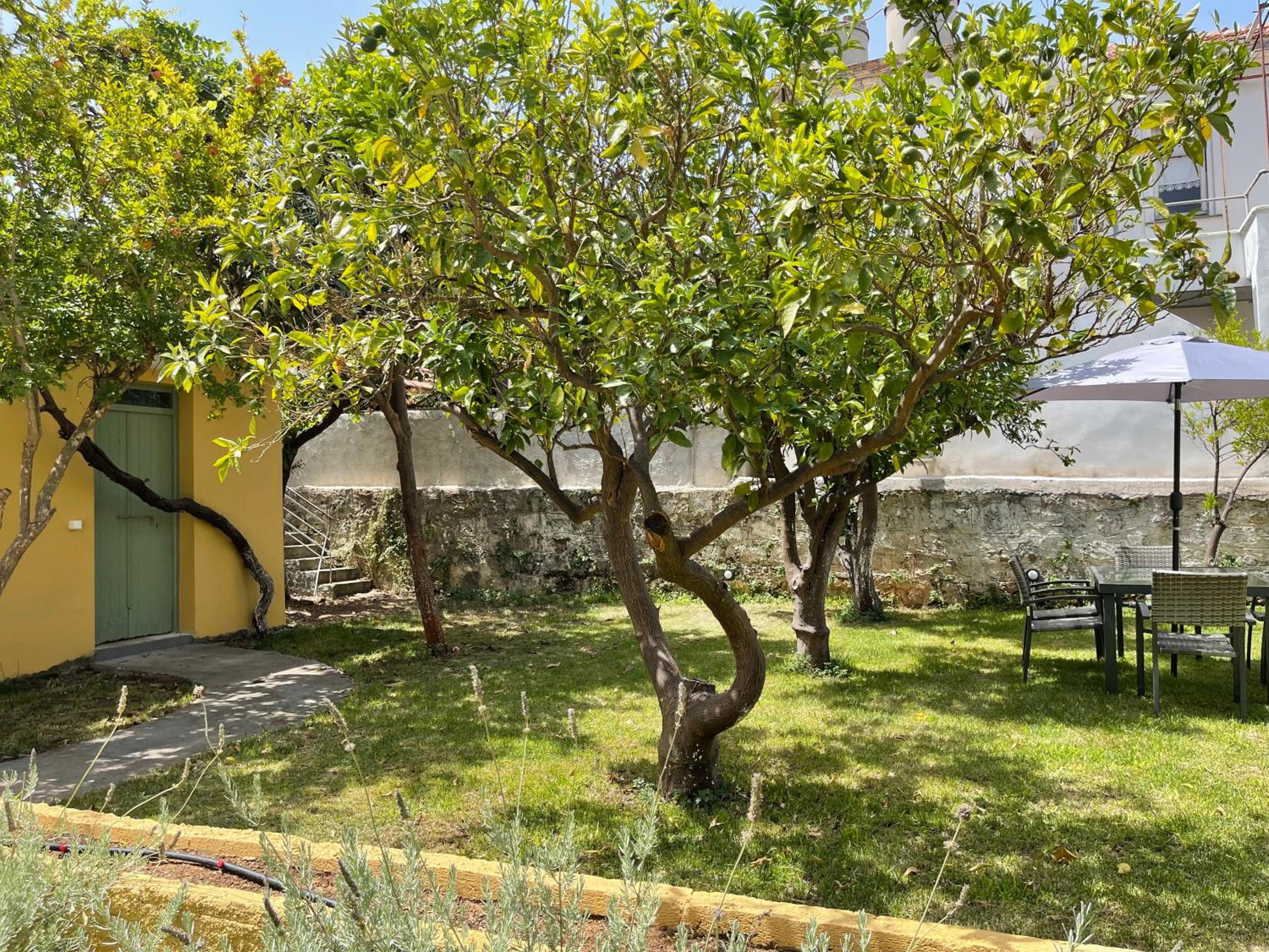 Via De Bosset City Cottage view 5