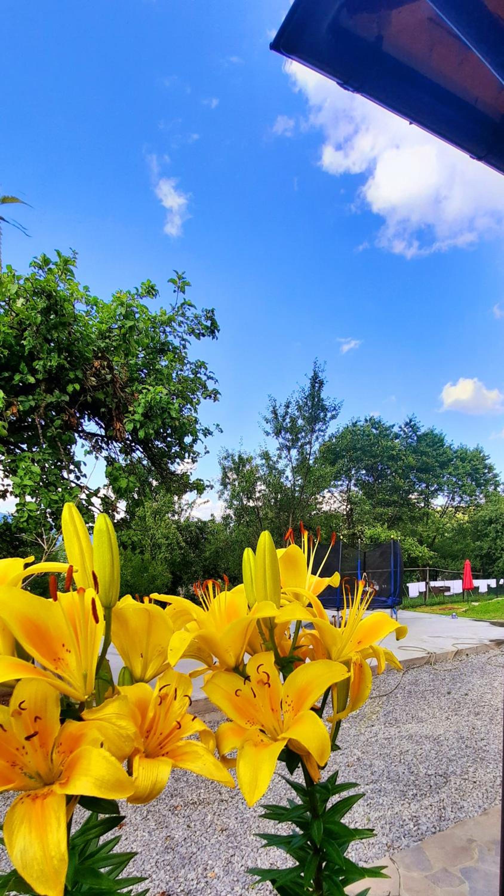 Casa Andreea și Grigore Ursu view 5