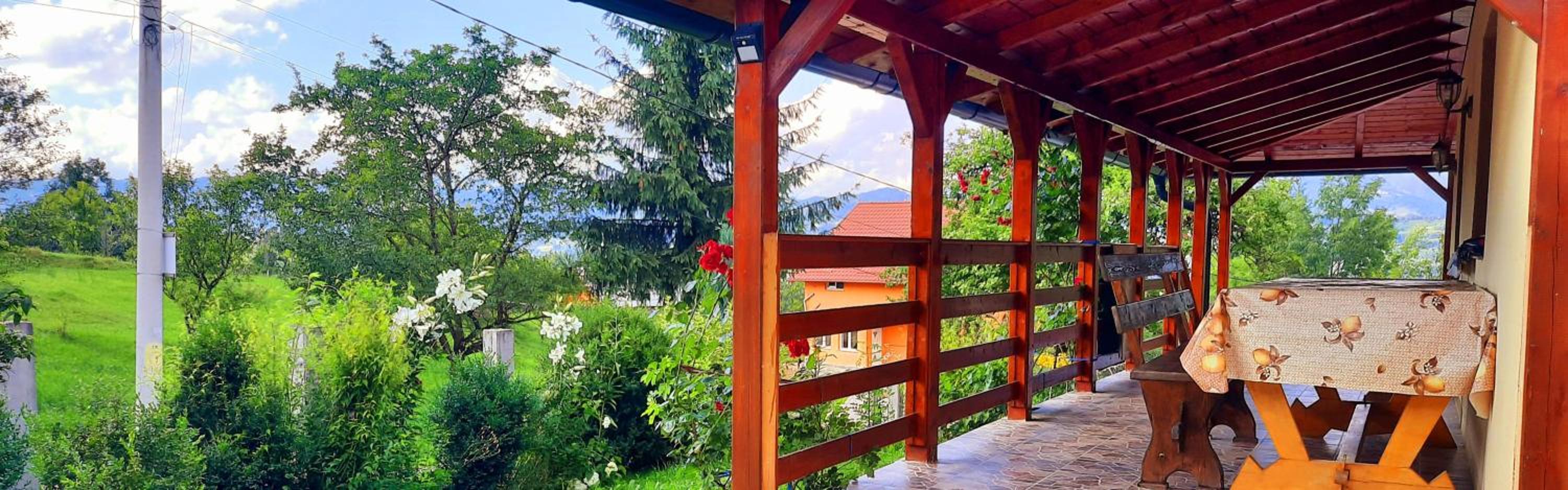 Casa Andreea și Grigore Ursu view 4