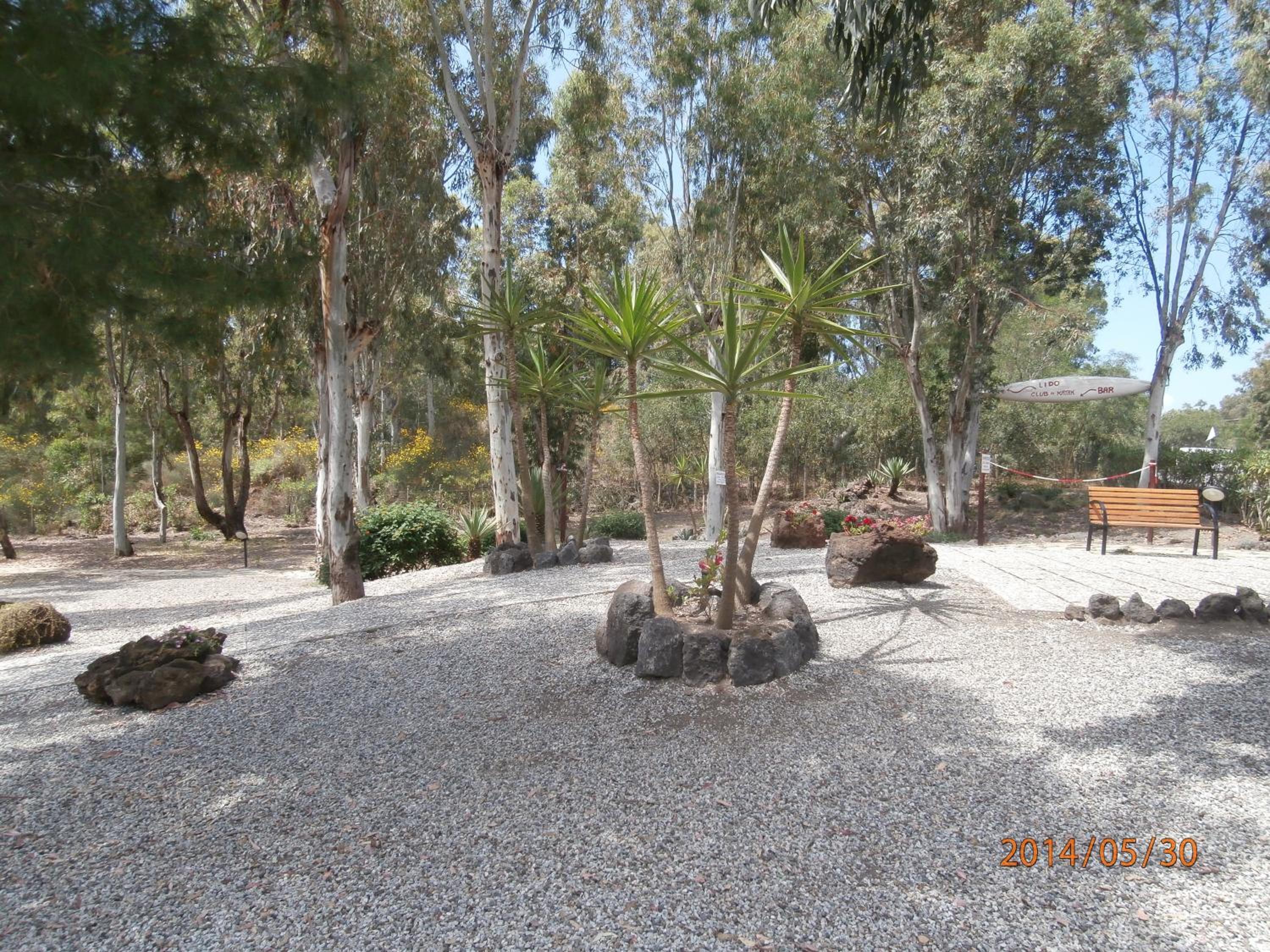 Photo 47