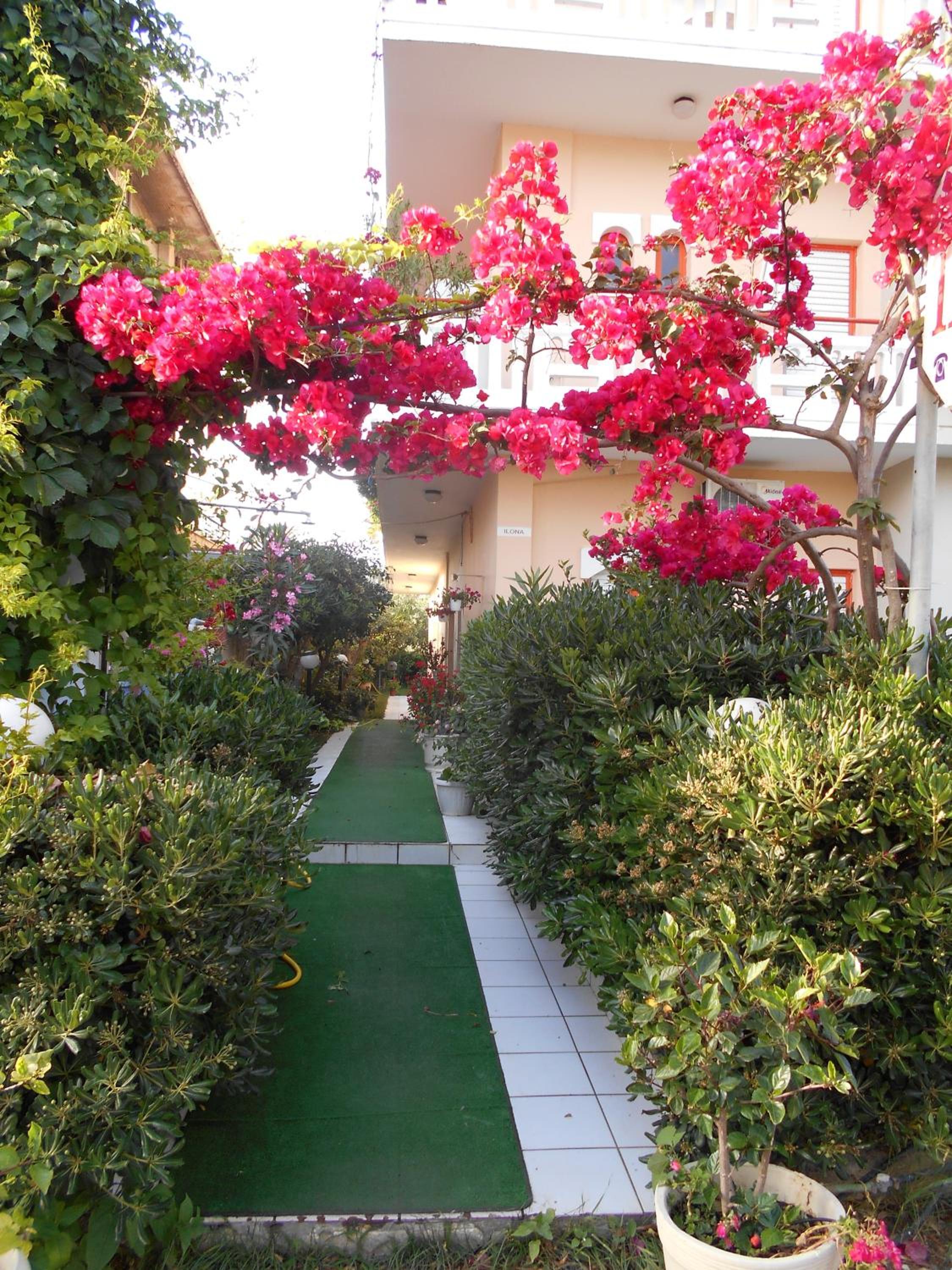 Photo 49