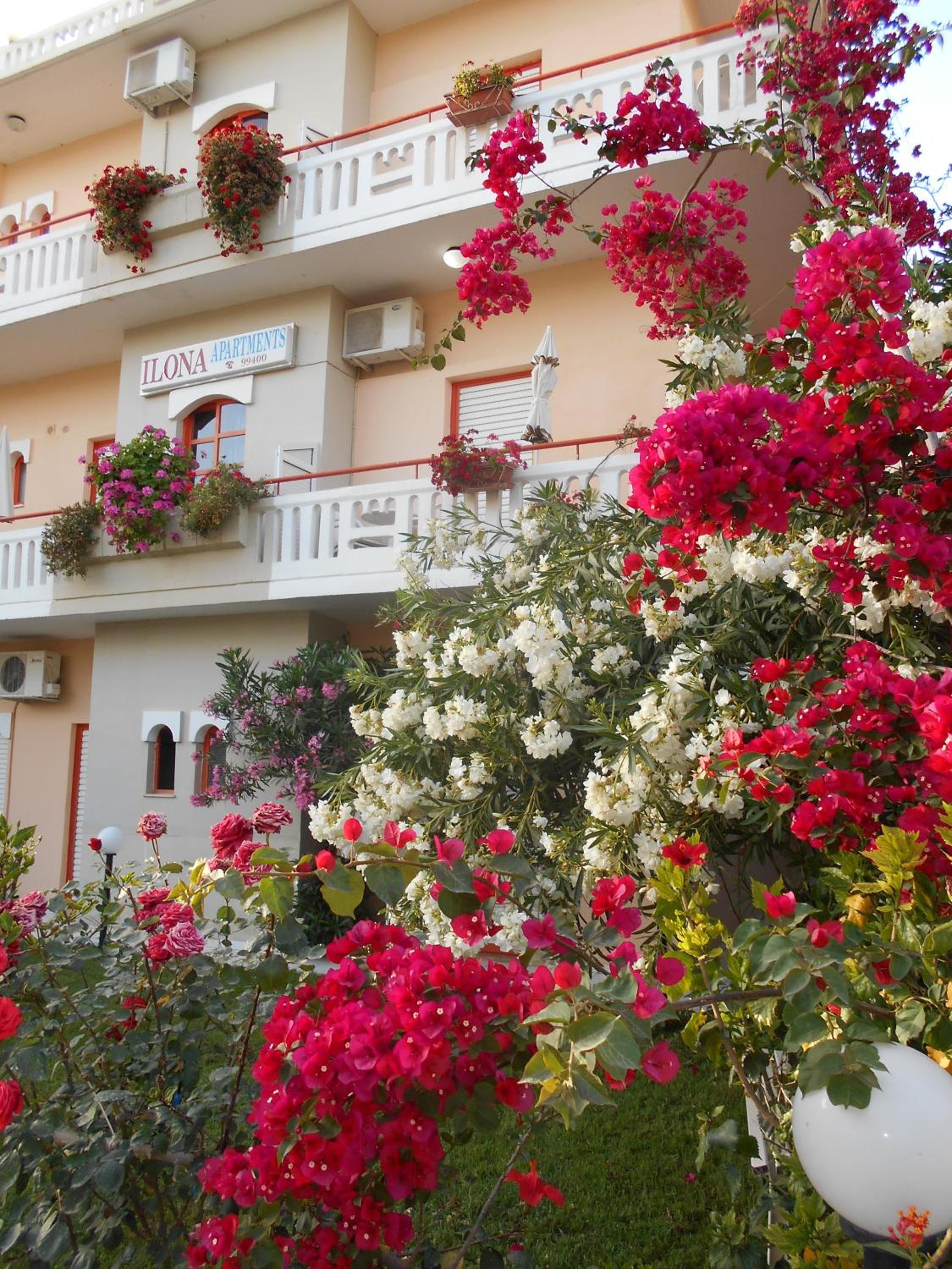 Ilona Apartments Chania