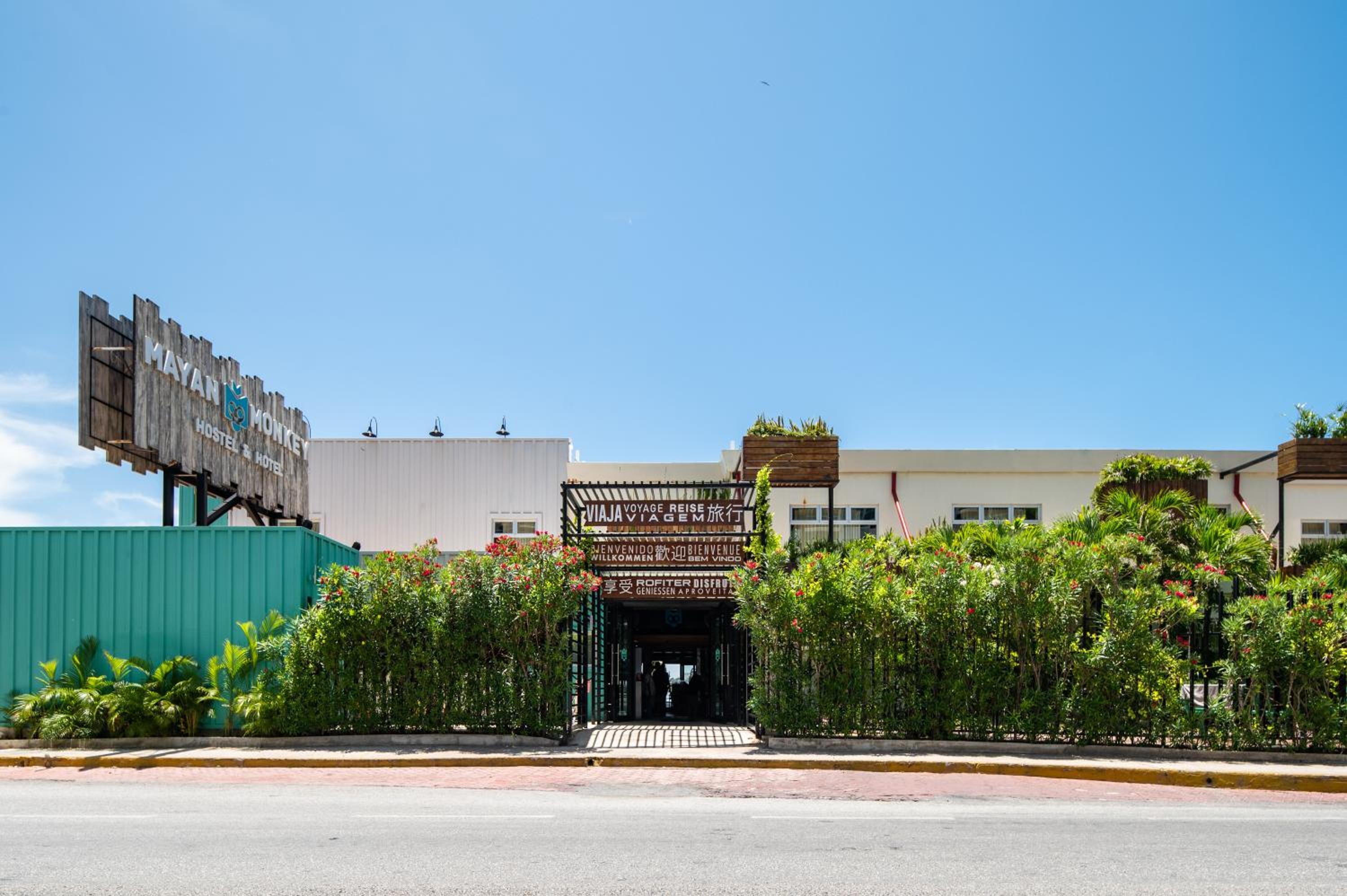 Mayan Monkey Cancun - Social Hostel