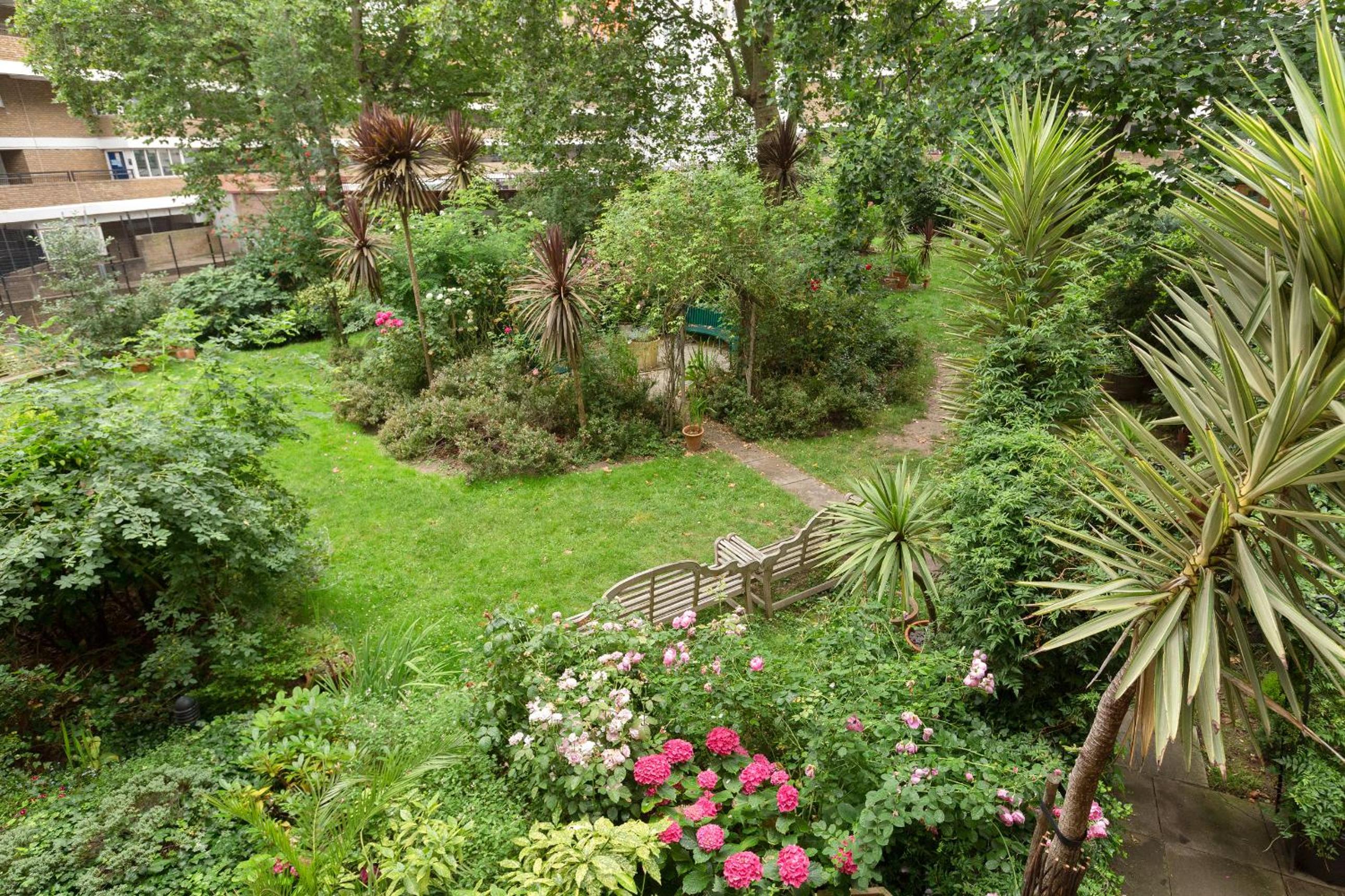 garden