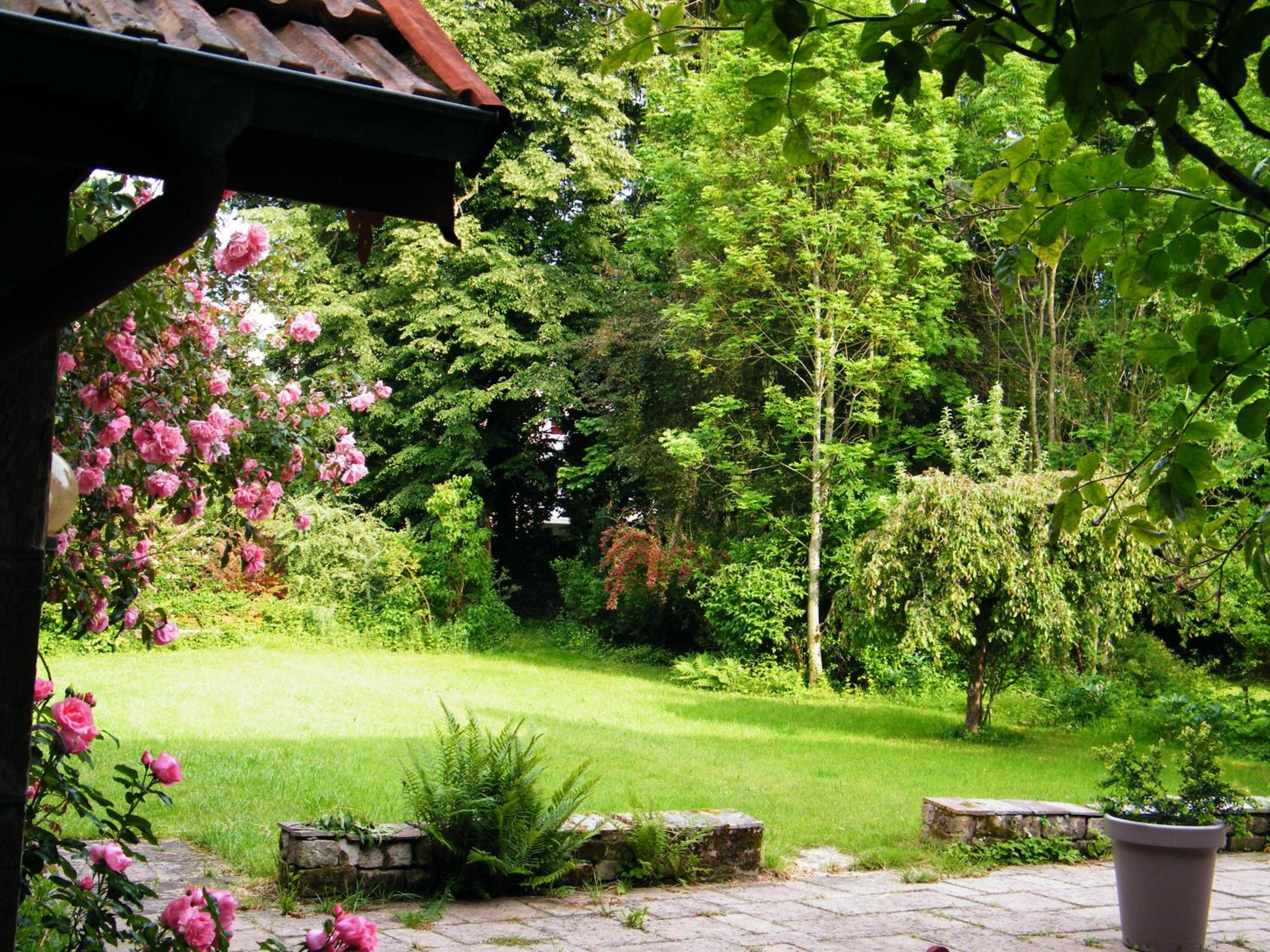 Photo 44