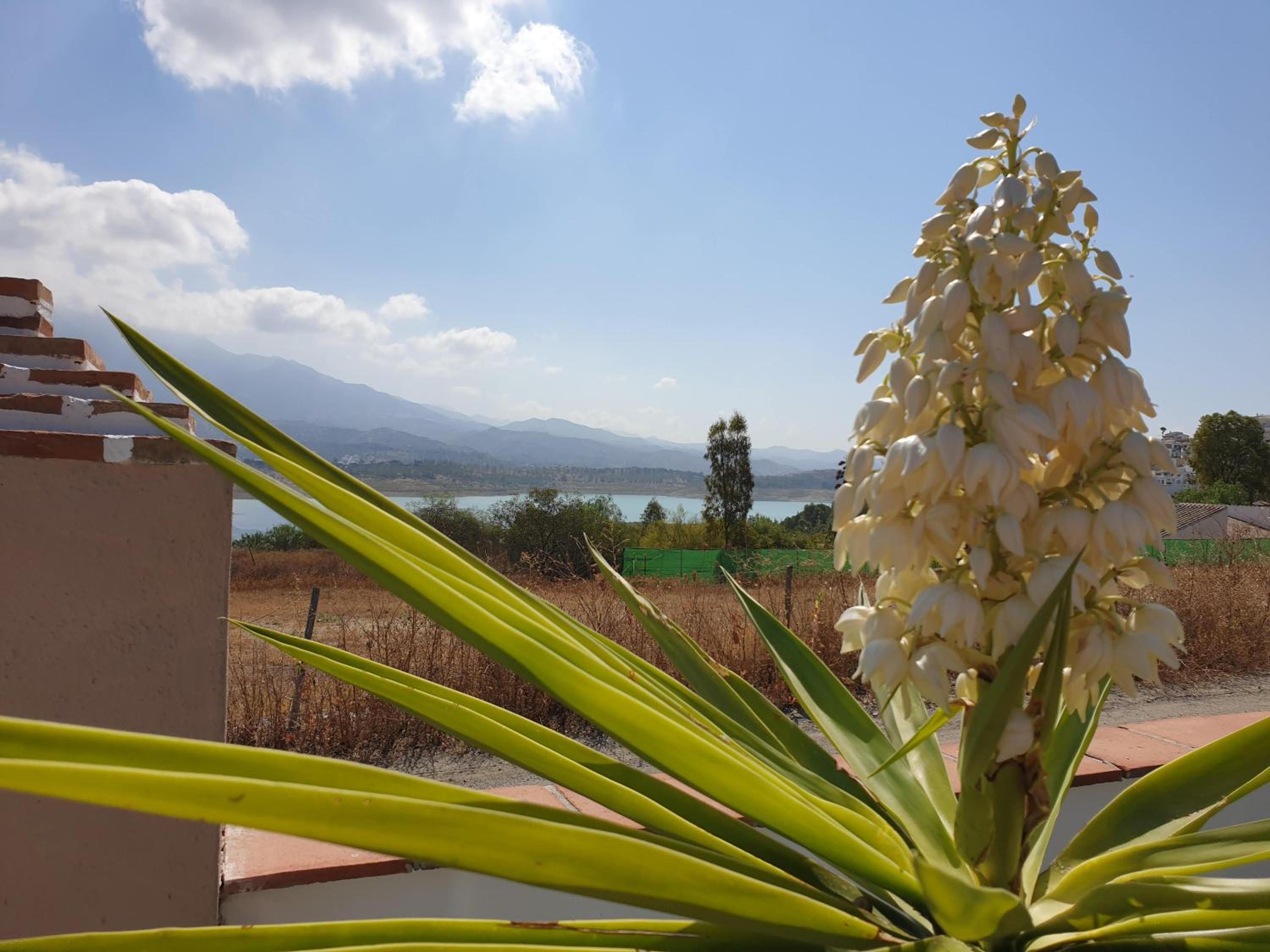 Premium Bed & Breakfast Casa Alegría Andaluza