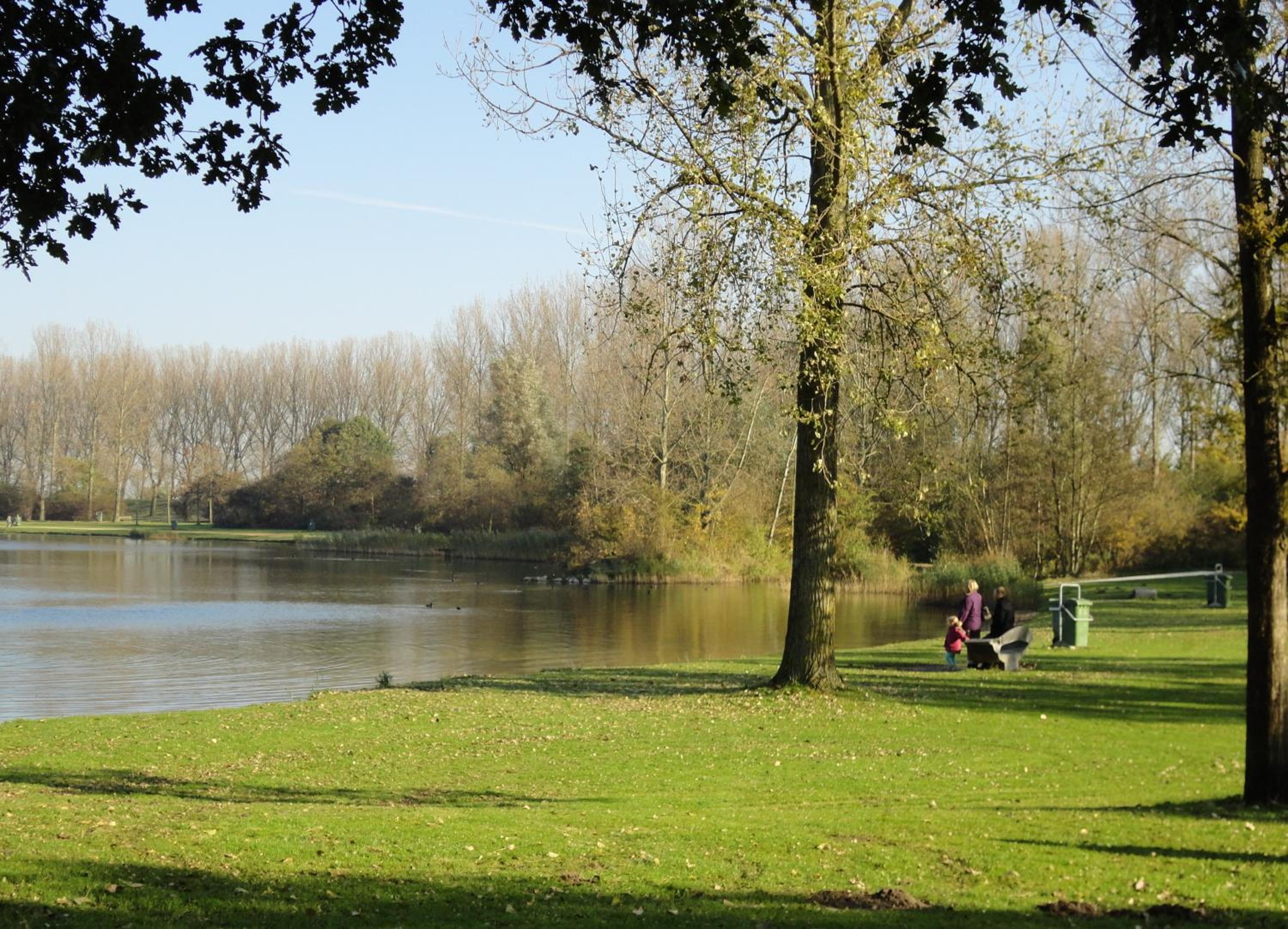 Photo 44