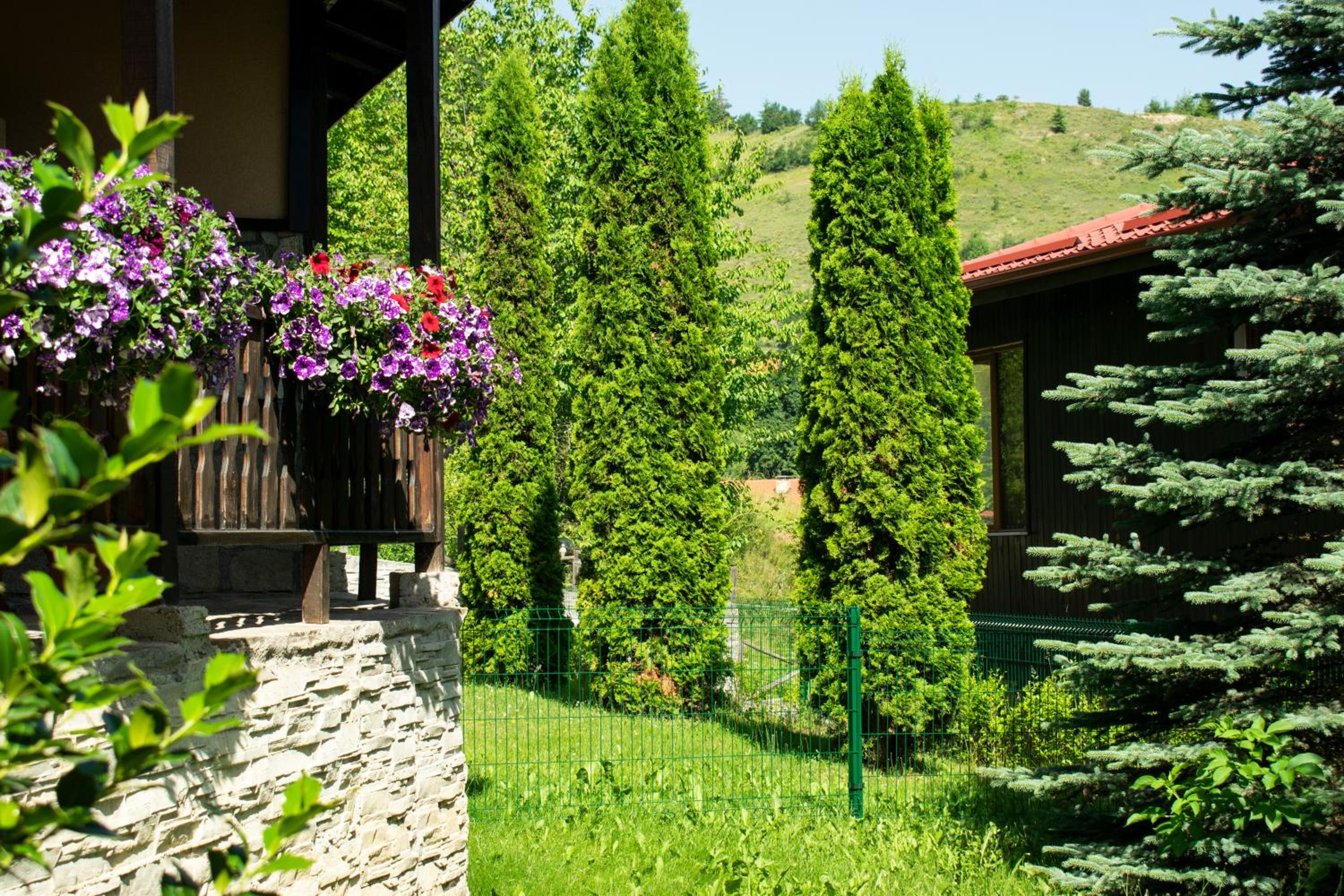 Rodopi Houses