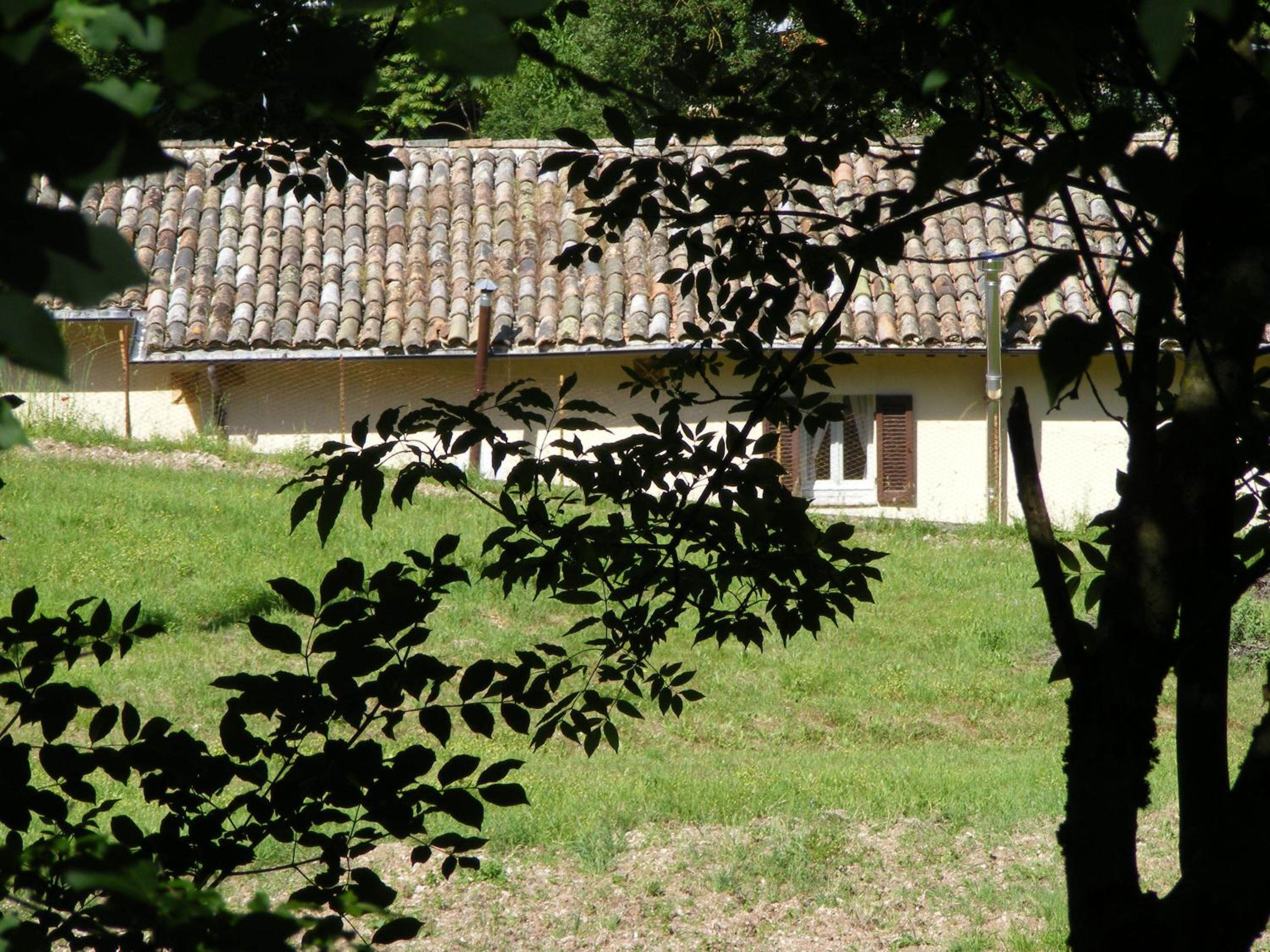 Photo 20