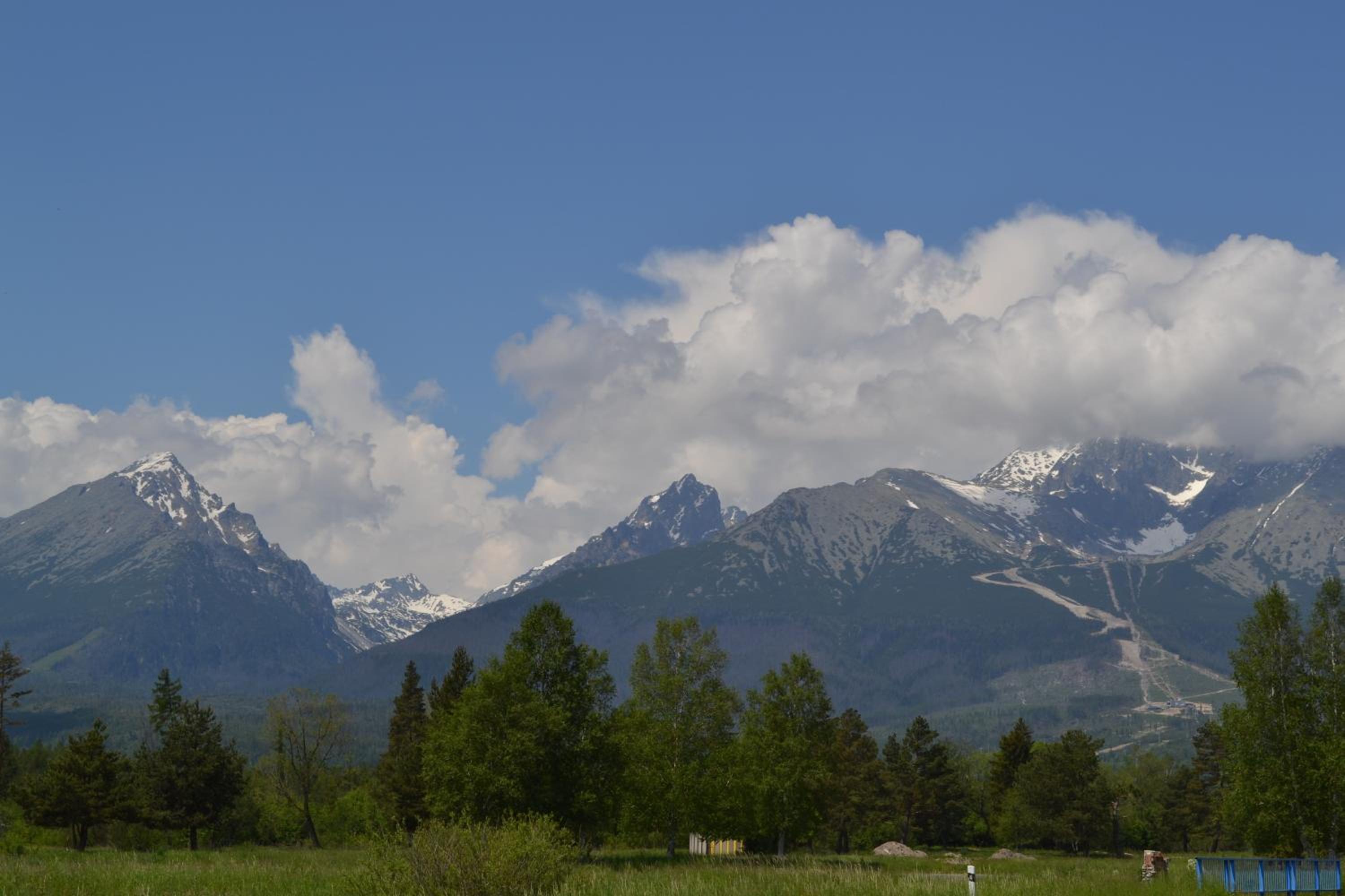 Photo 51