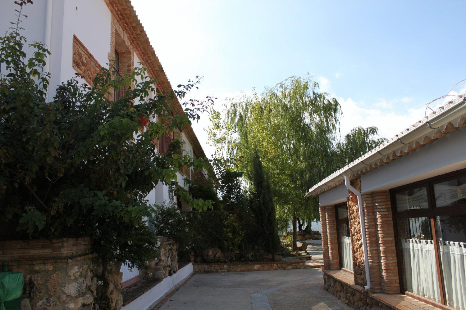 Photo 38