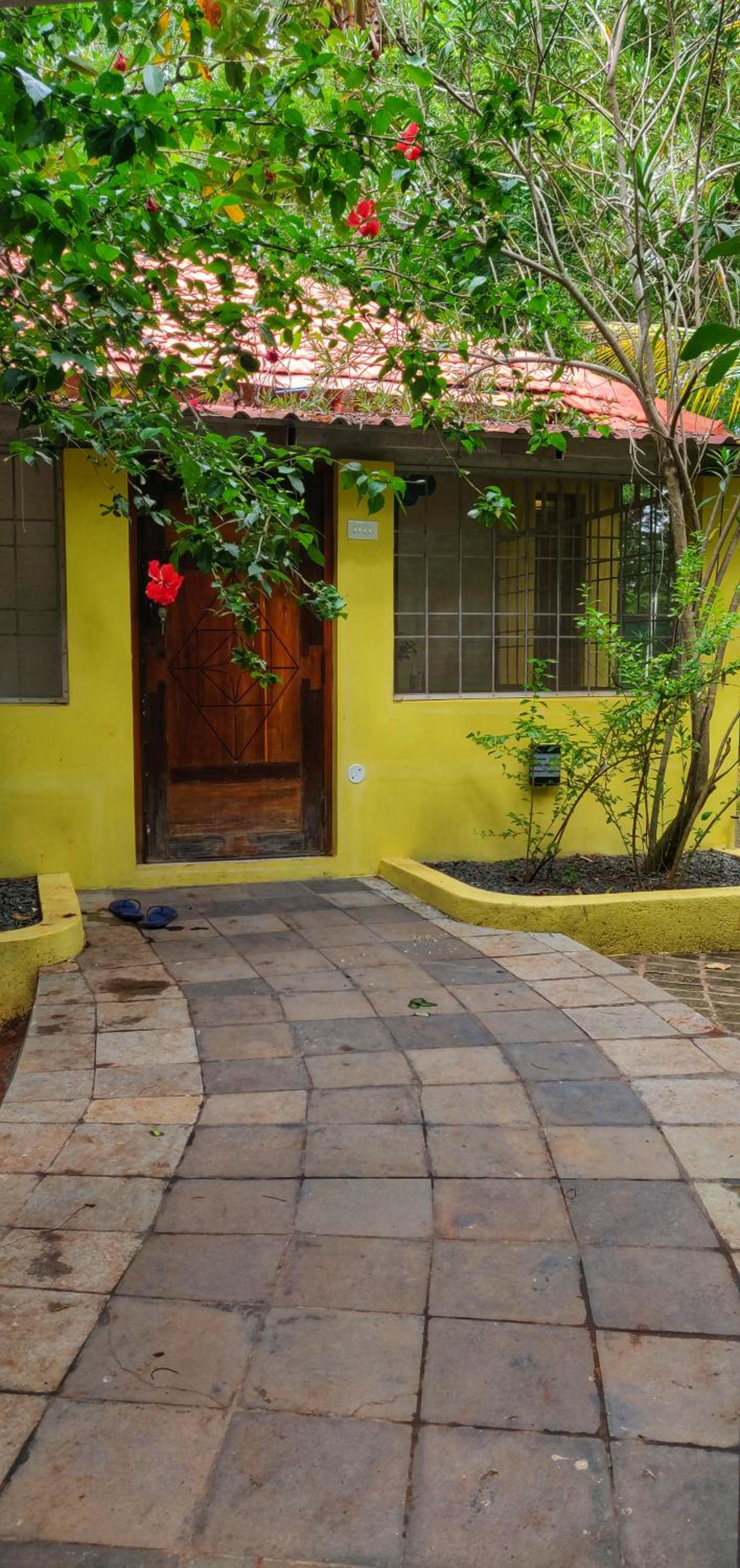 KISA House view 2